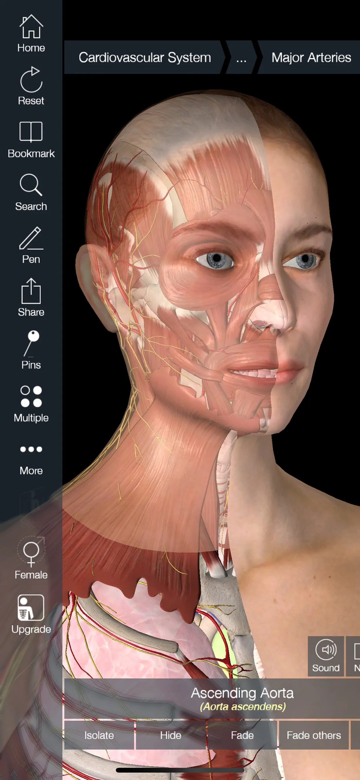 Essential Anatomy 5 iphone screenshot 2