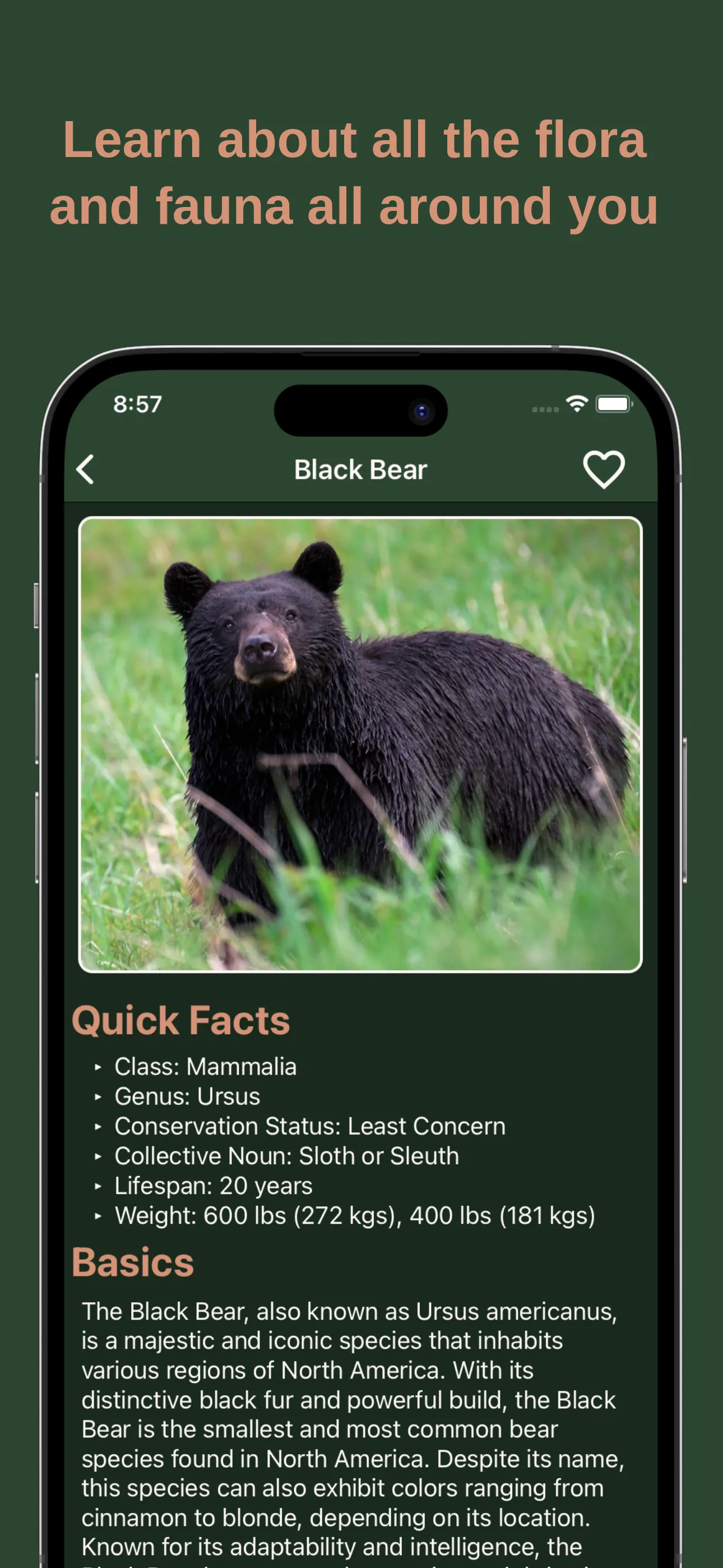 Camping Companion: Camp Guide iphone screenshot 4