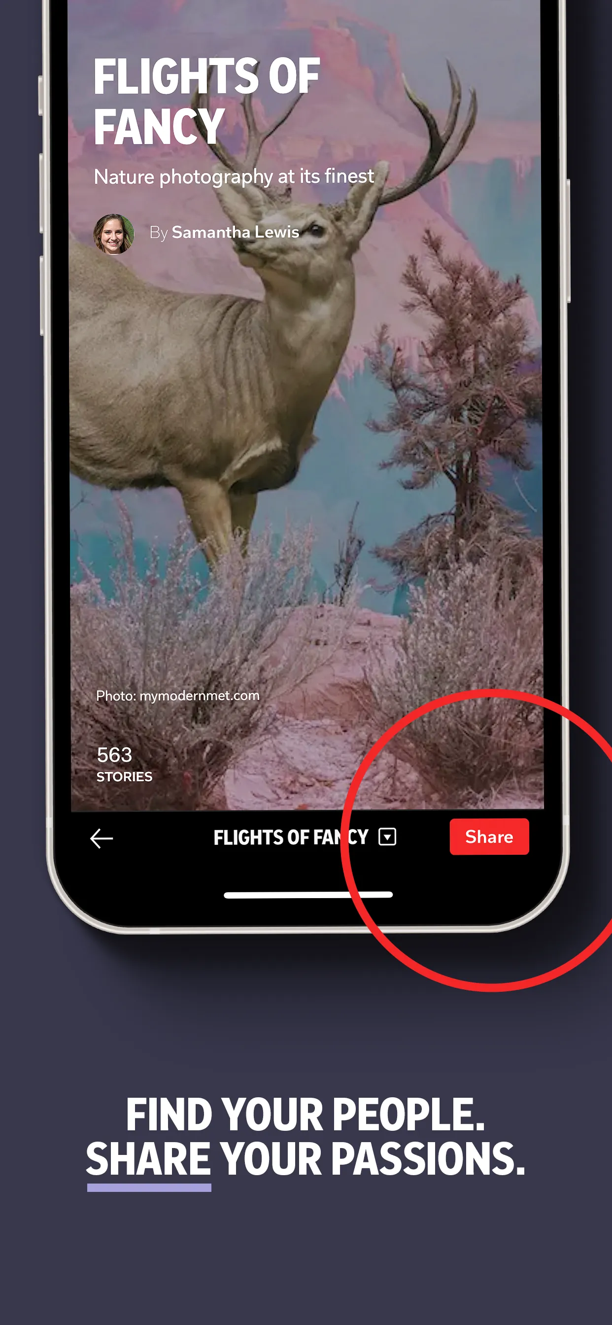 Flipboard: The Social Magazine iphone screenshot 5
