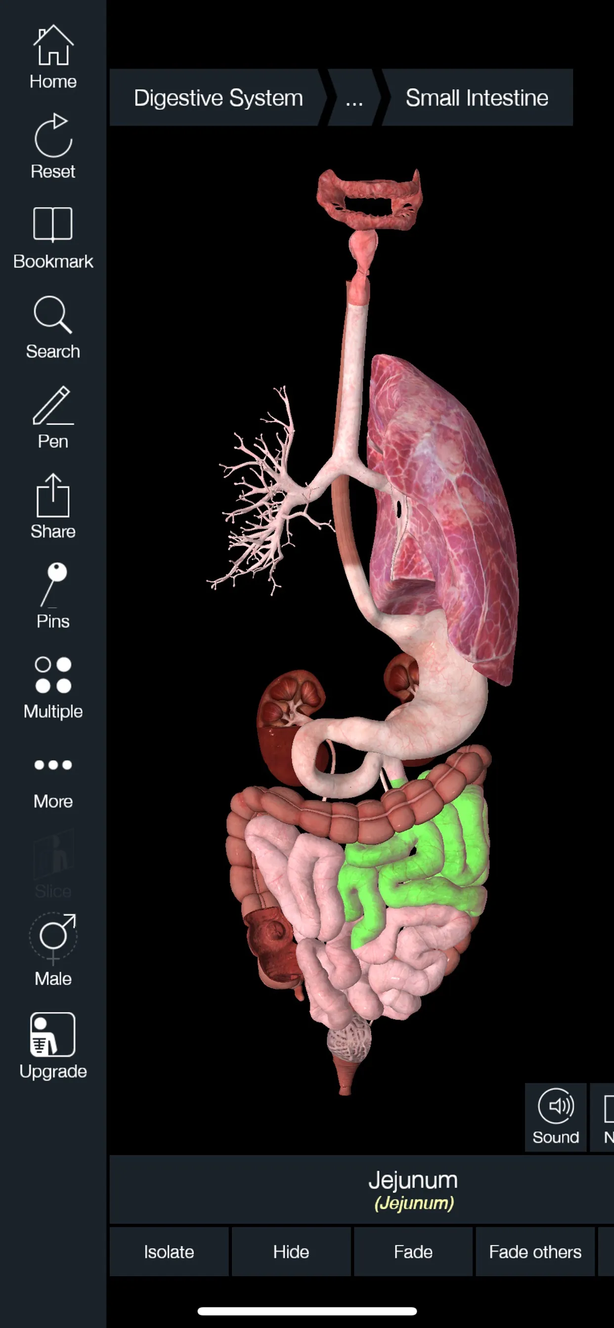 Essential Anatomy 5 iphone screenshot 4