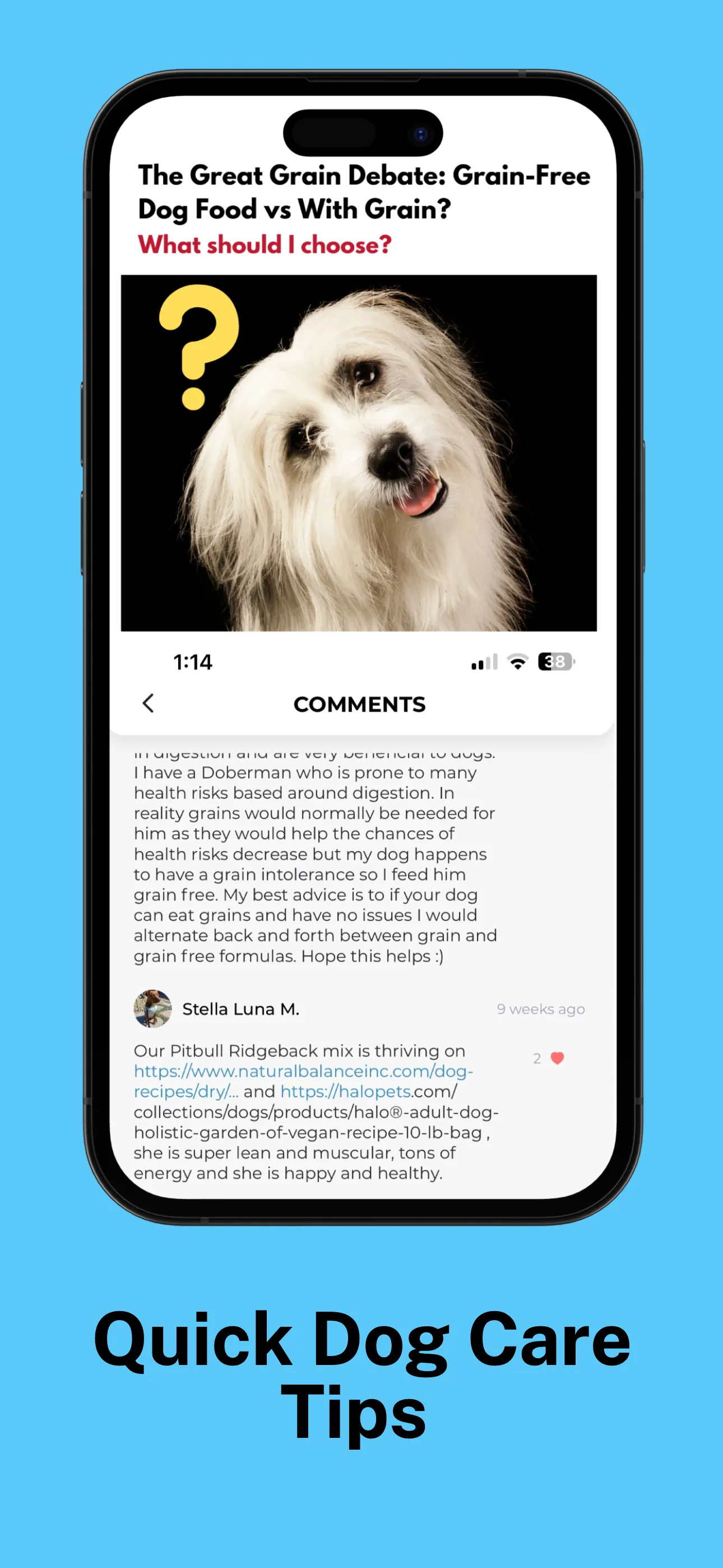 DogHood: Dog Lovers Community iphone screenshot 7