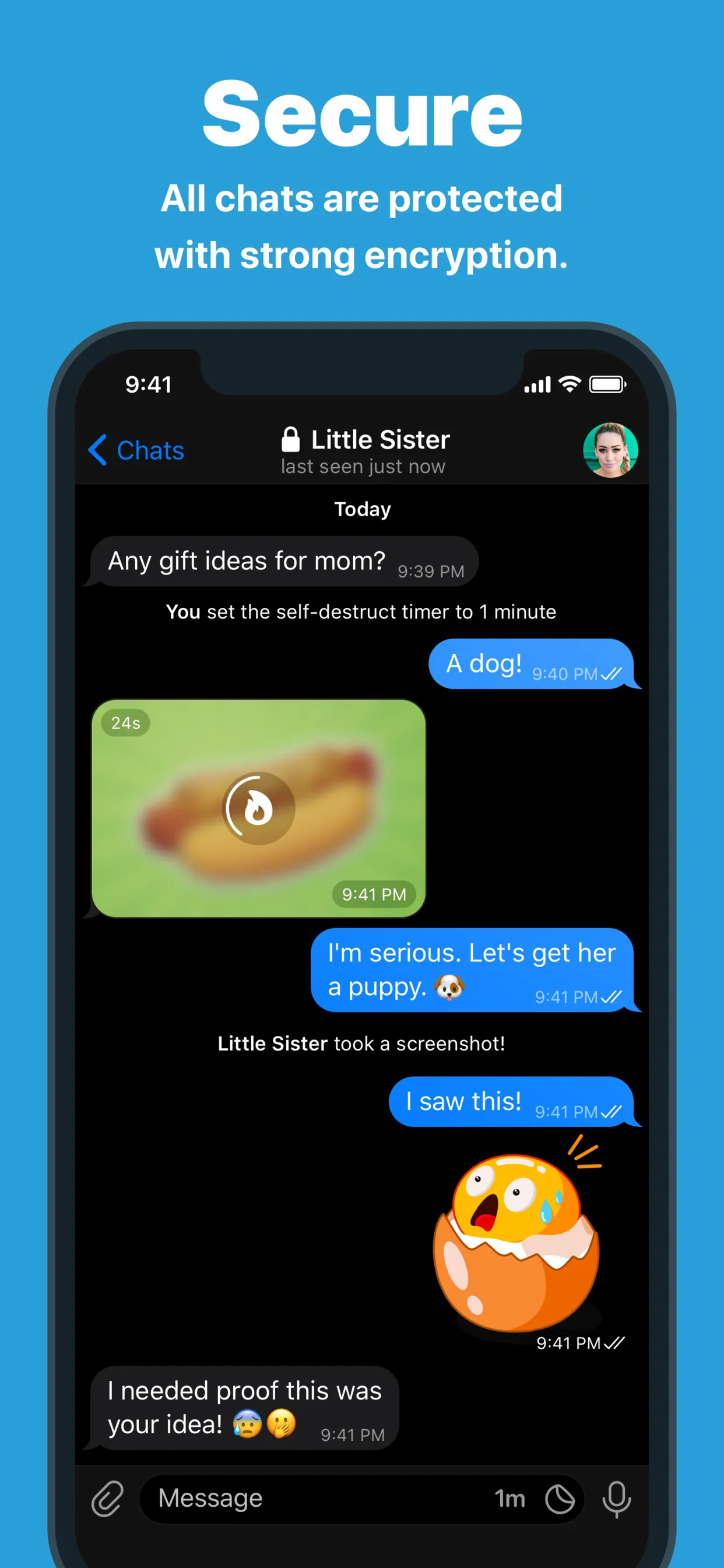 Telegram Messenger iphone screenshot 3