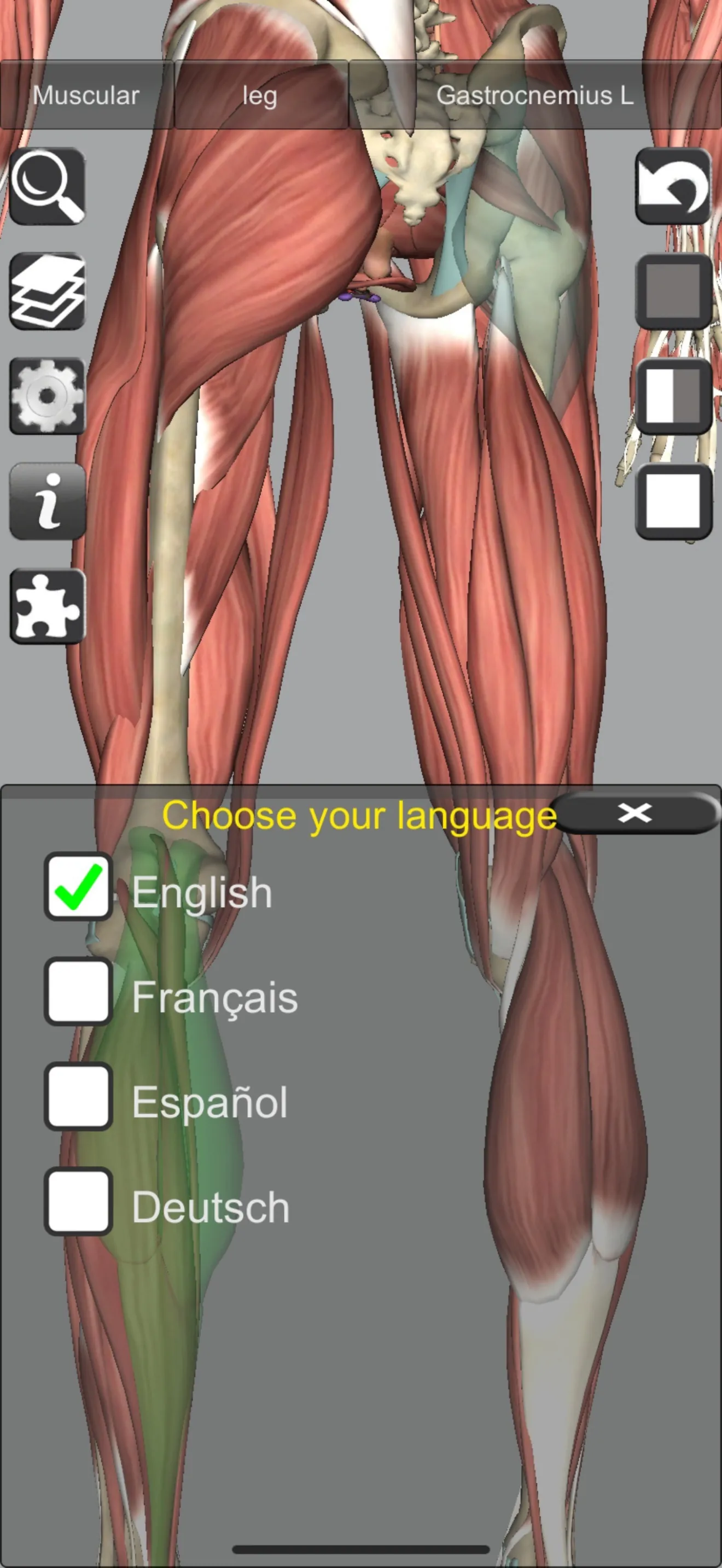 3D Bones and Muscles (Anatomy) iphone screenshot 10