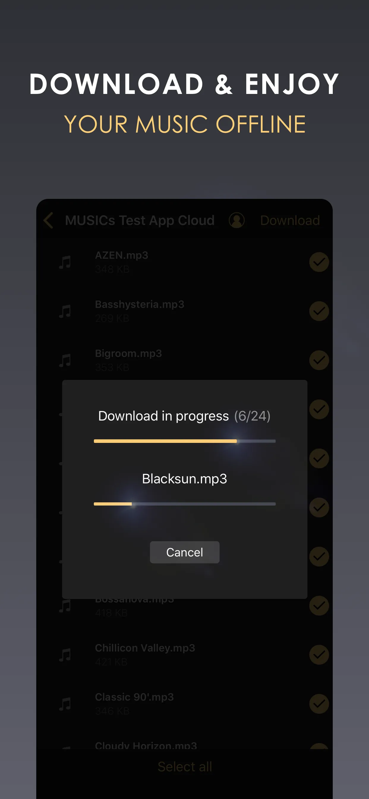 Equalizer+ HD music player iphone screenshot 7
