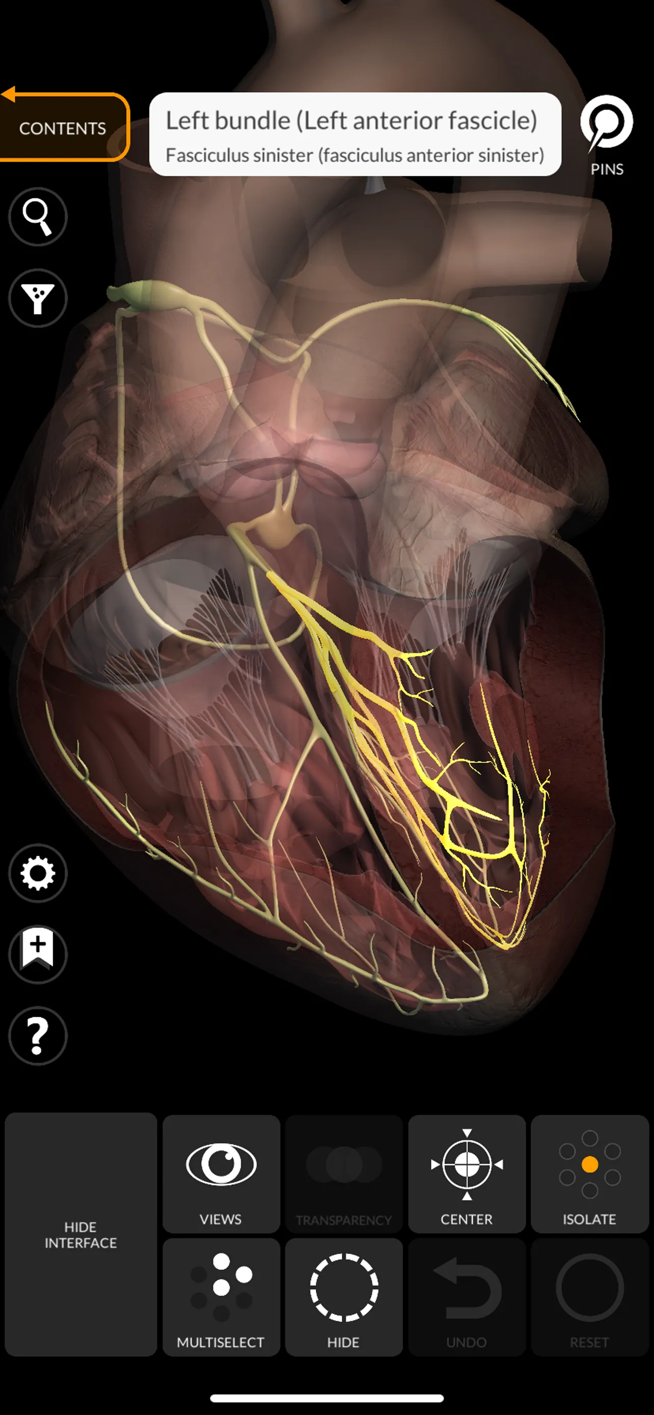 Anatomy 3D Atlas iphone screenshot 8