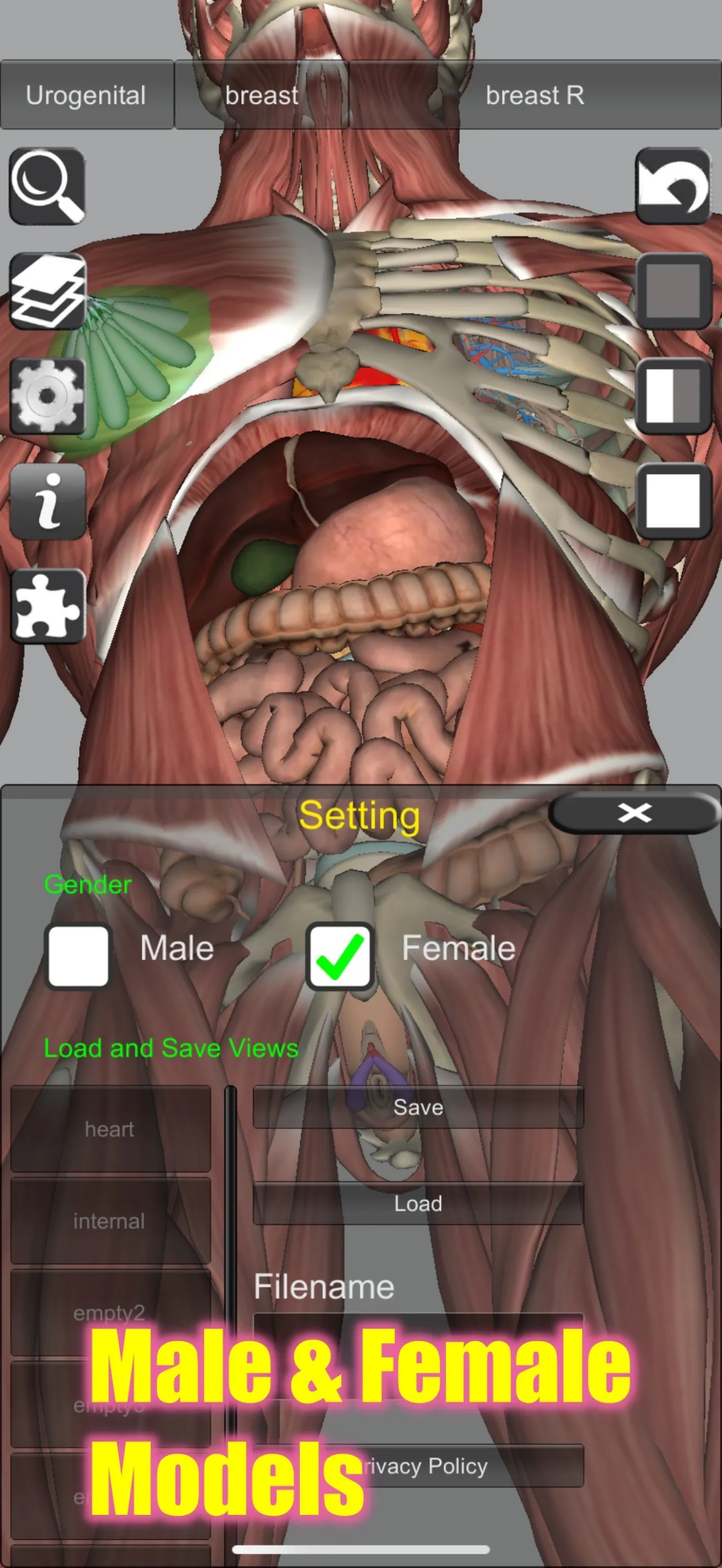 3D Bones and Muscles (Anatomy) iphone screenshot 9