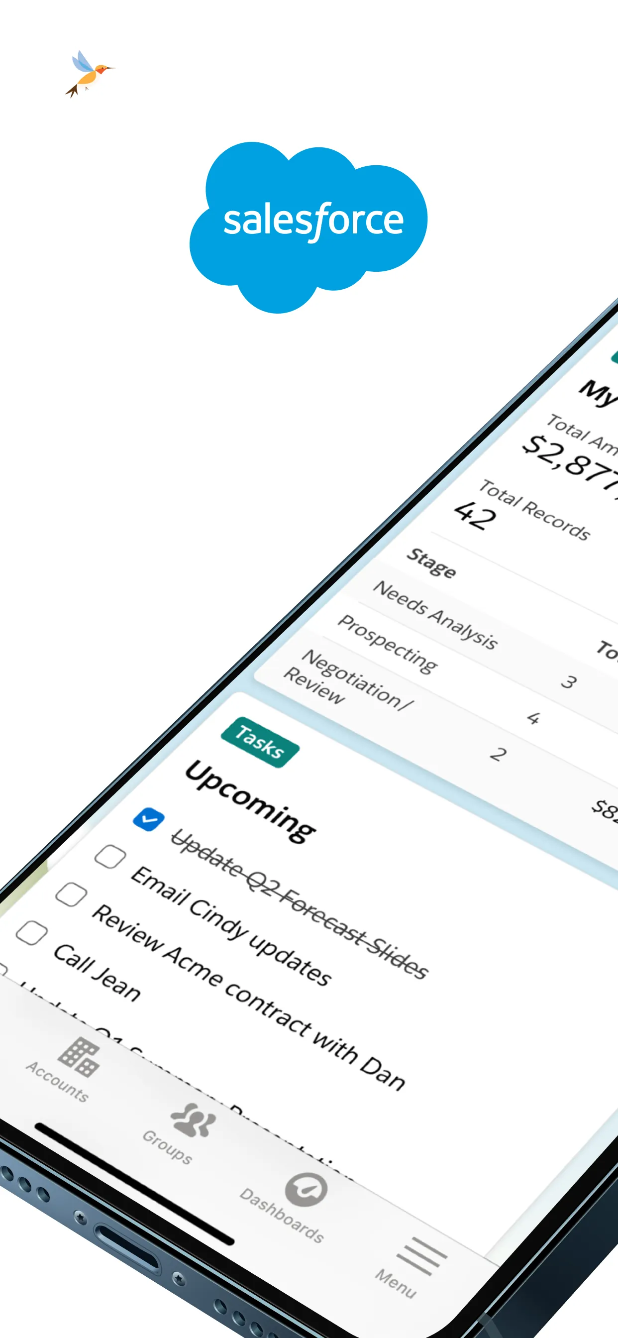 Salesforce iphone screenshot 1
