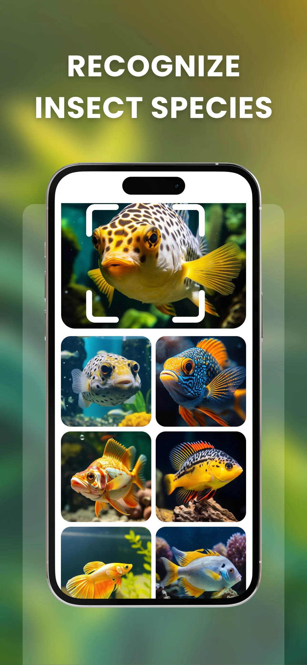 Image Recognition And Searcher iphone screenshot 2
