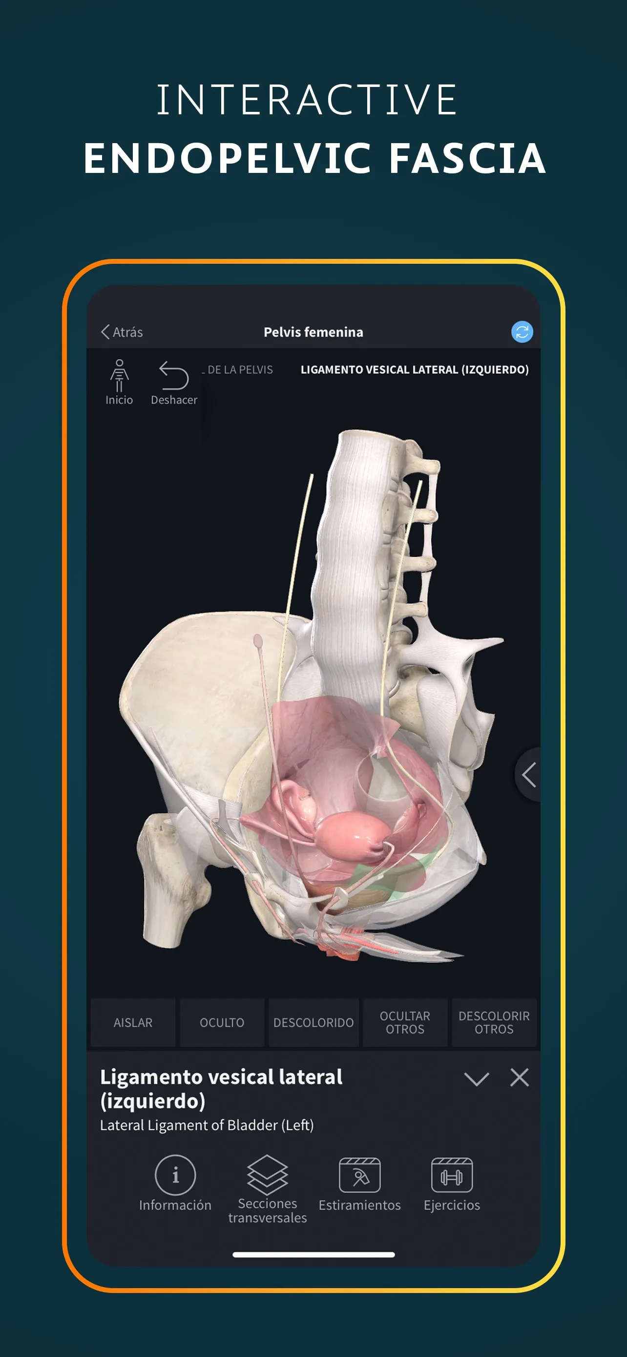 Complete Anatomy for iPhone iphone screenshot 10