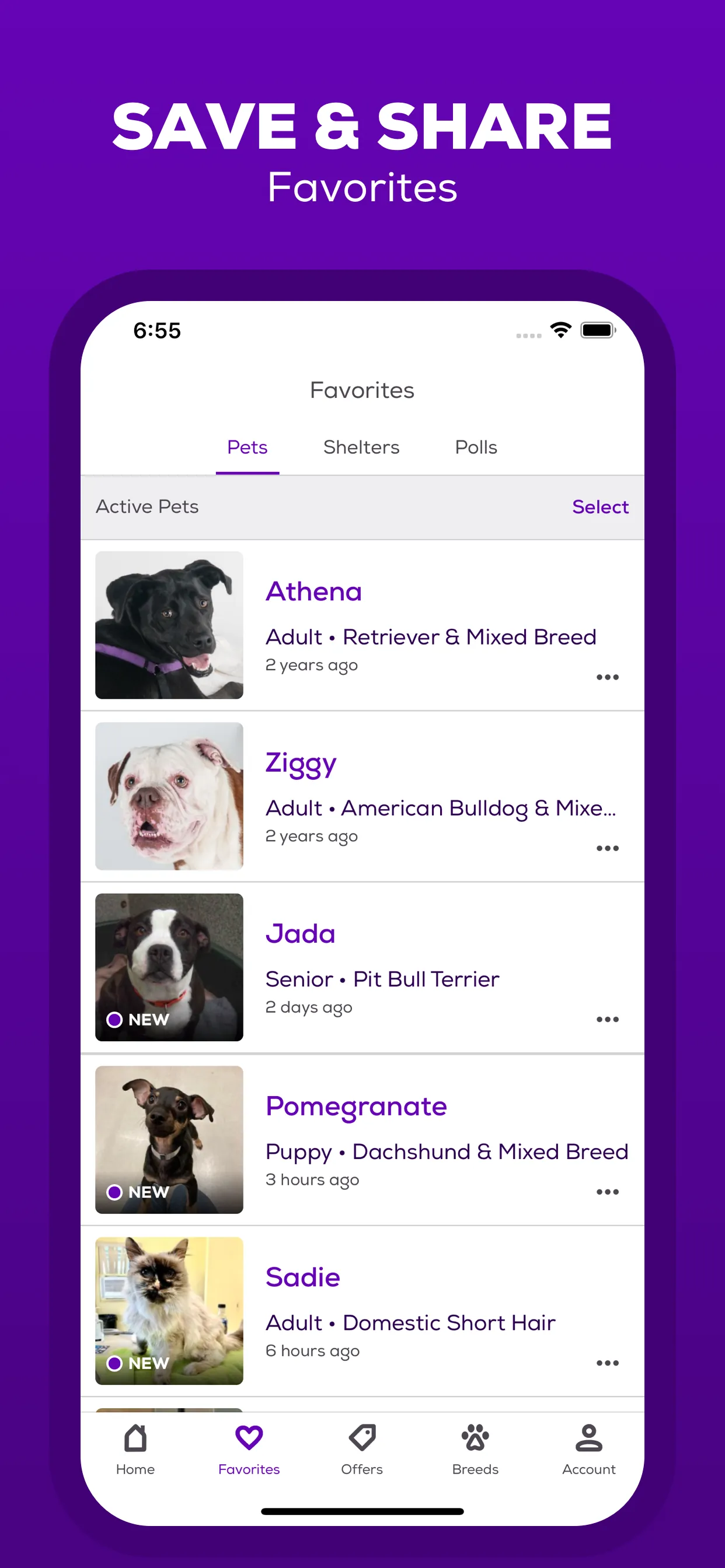 Petfinder - Adopt a Pet iphone screenshot 4
