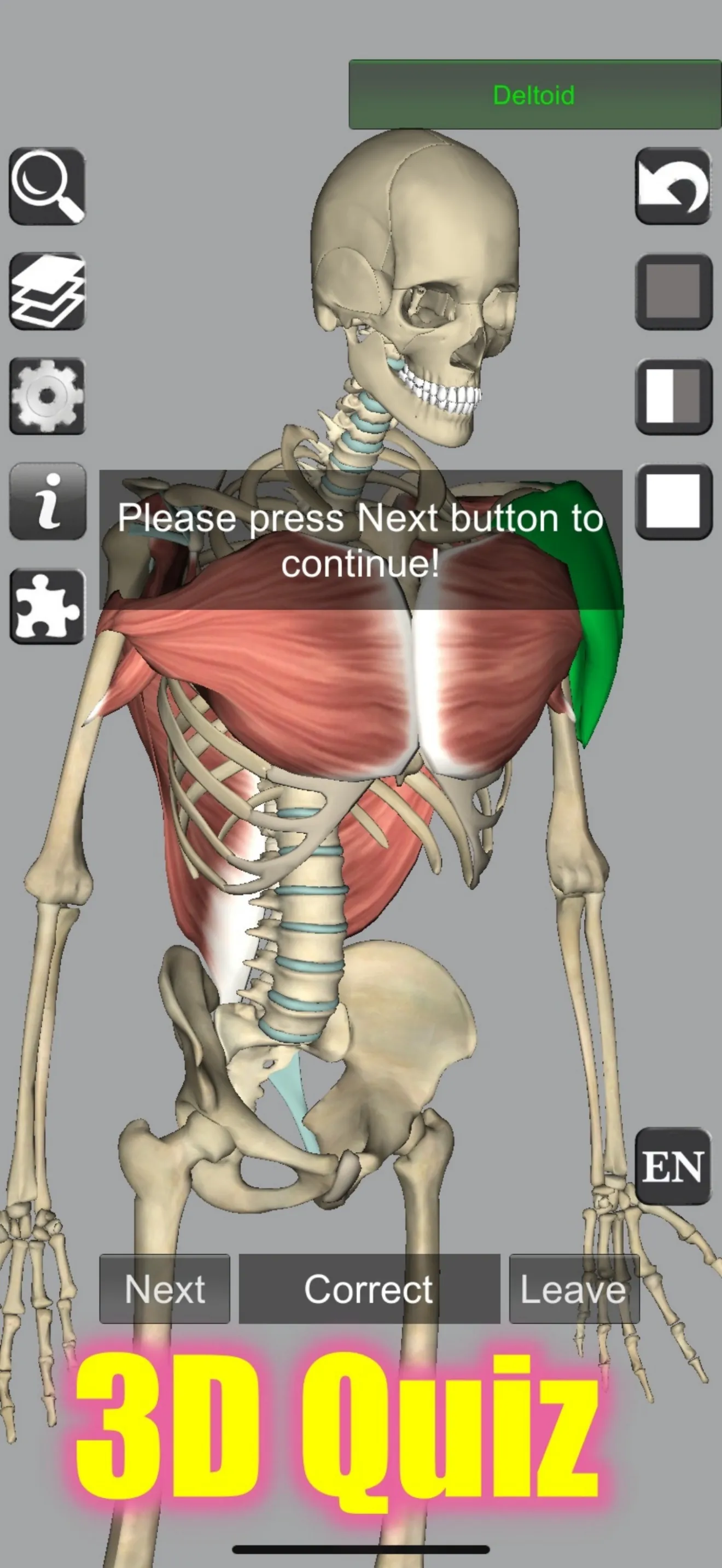3D Bones and Muscles (Anatomy) iphone screenshot 11