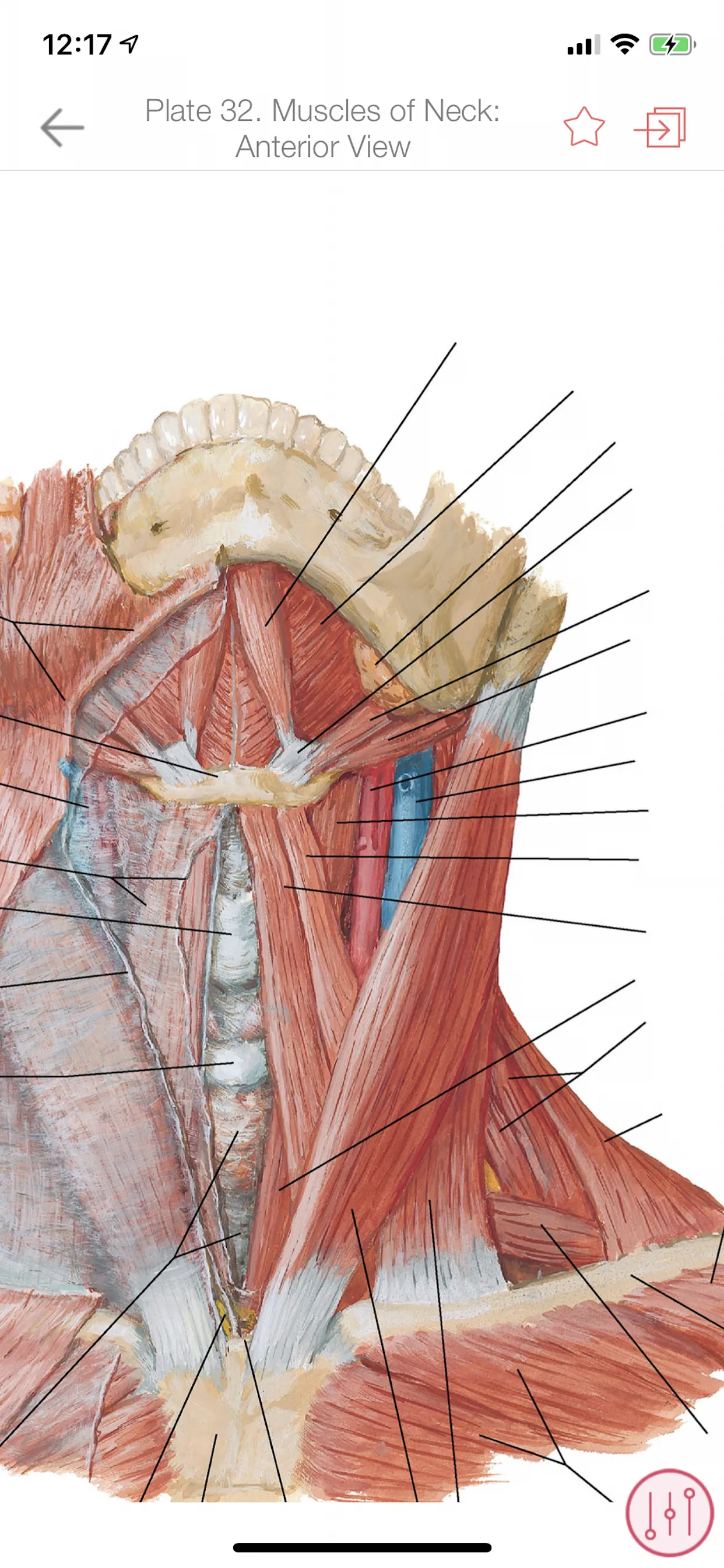 Anatomy Atlas, USMLE, Clinical iphone screenshot 3