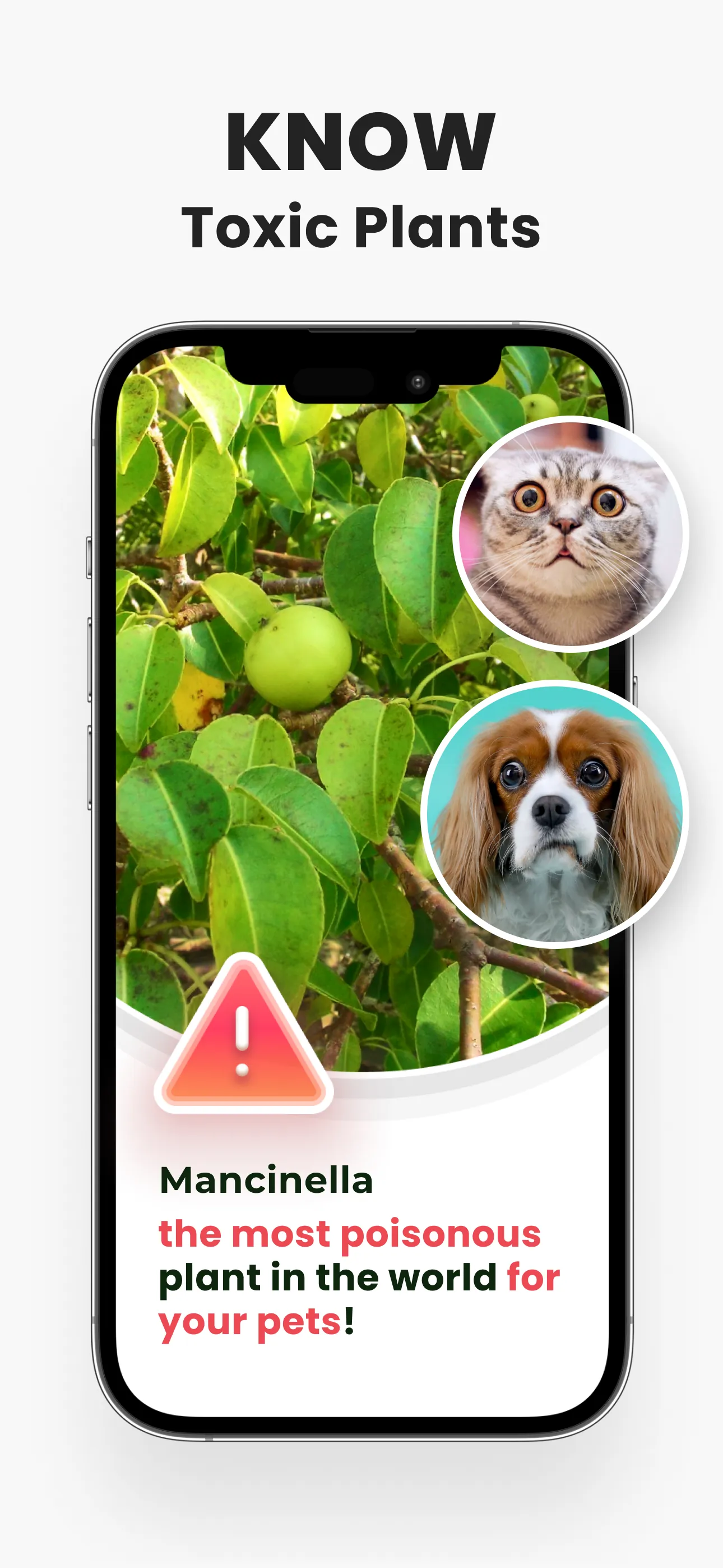 Plant Identifier - PlantMe iphone screenshot 4