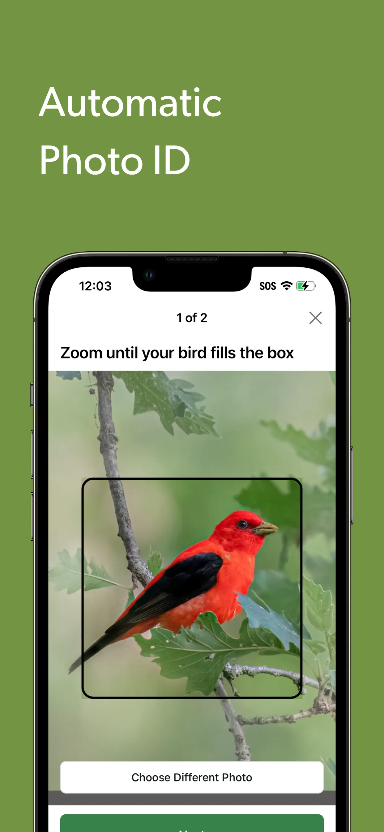 Merlin Bird ID by Cornell Lab iphone screenshot 7