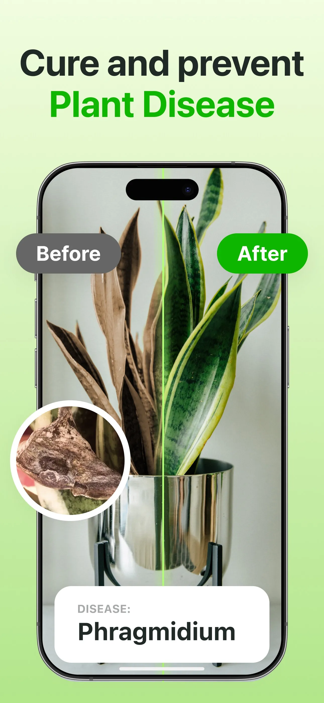 Plant Identifier & Care App iphone screenshot 2
