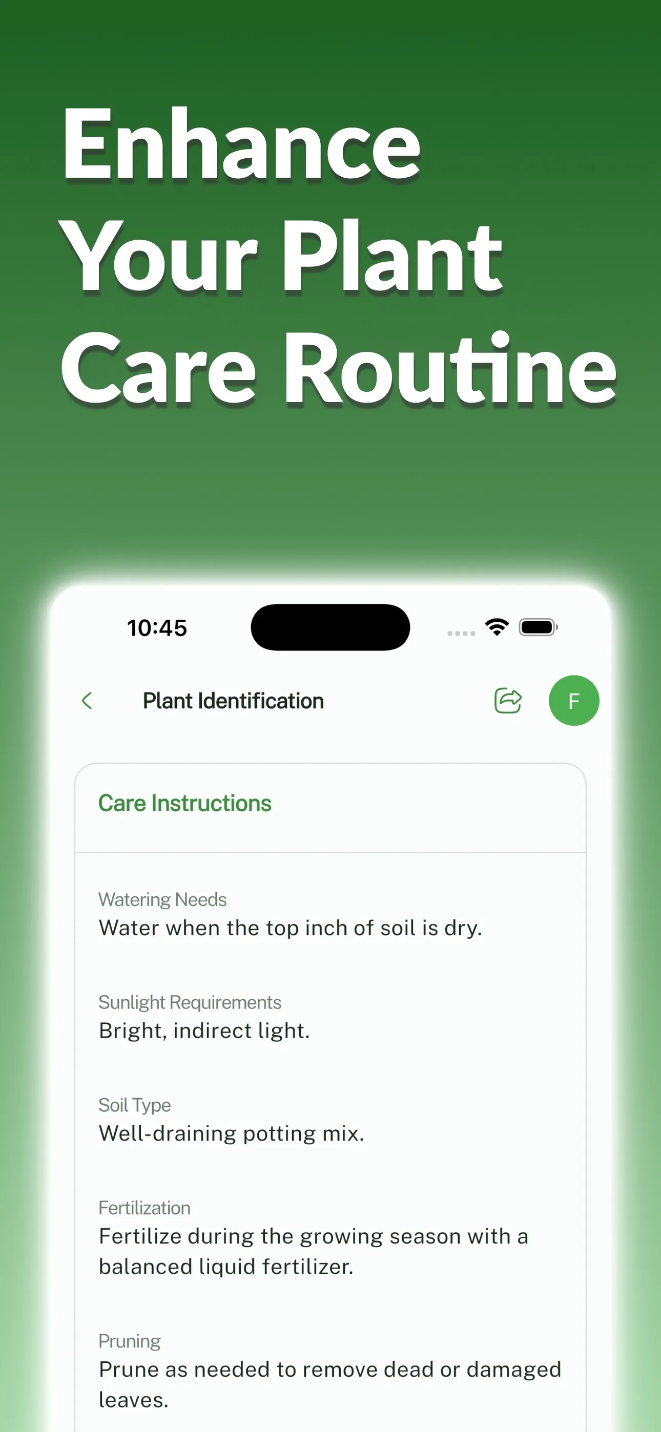 Plant Identifier, Plant Care iphone screenshot 4