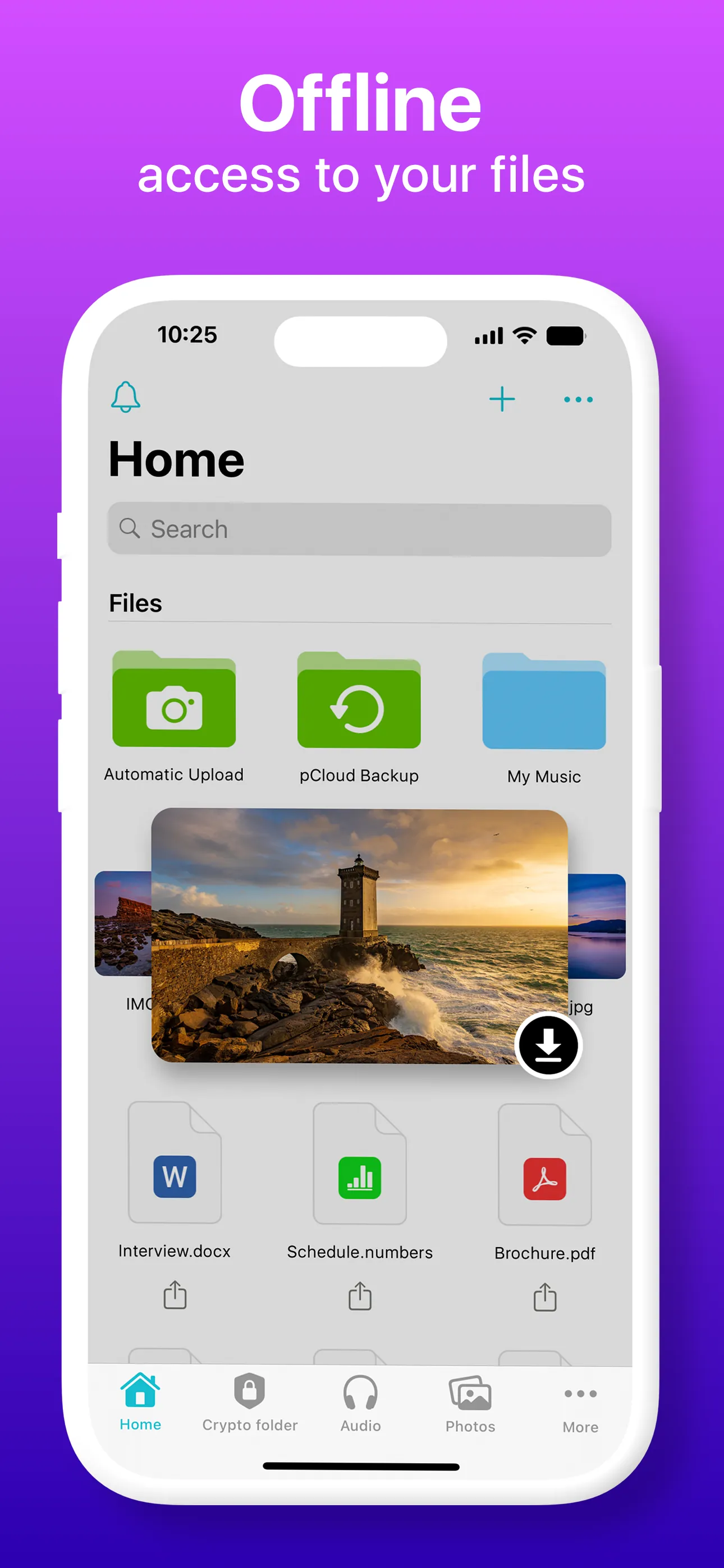pCloud - Cloud Storage iphone screenshot 6