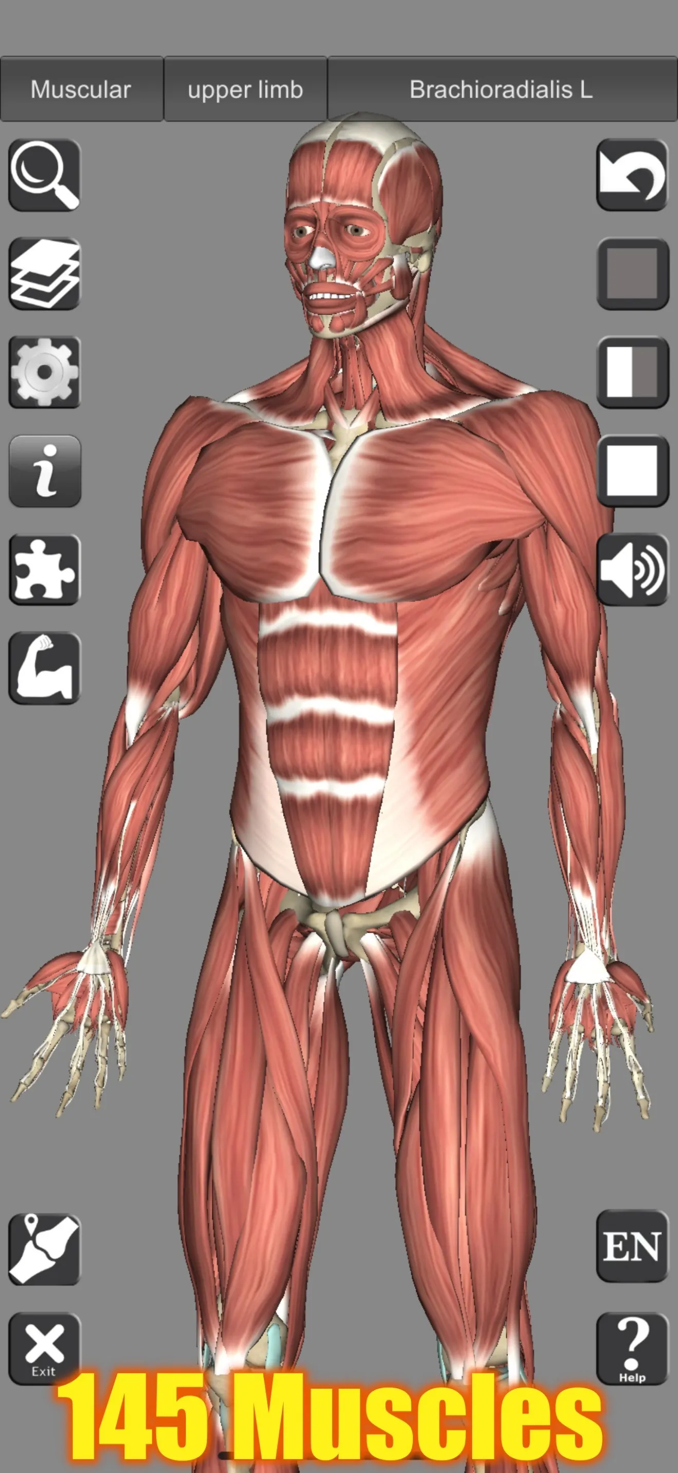 3D Bones and Muscles (Anatomy) iphone screenshot 2