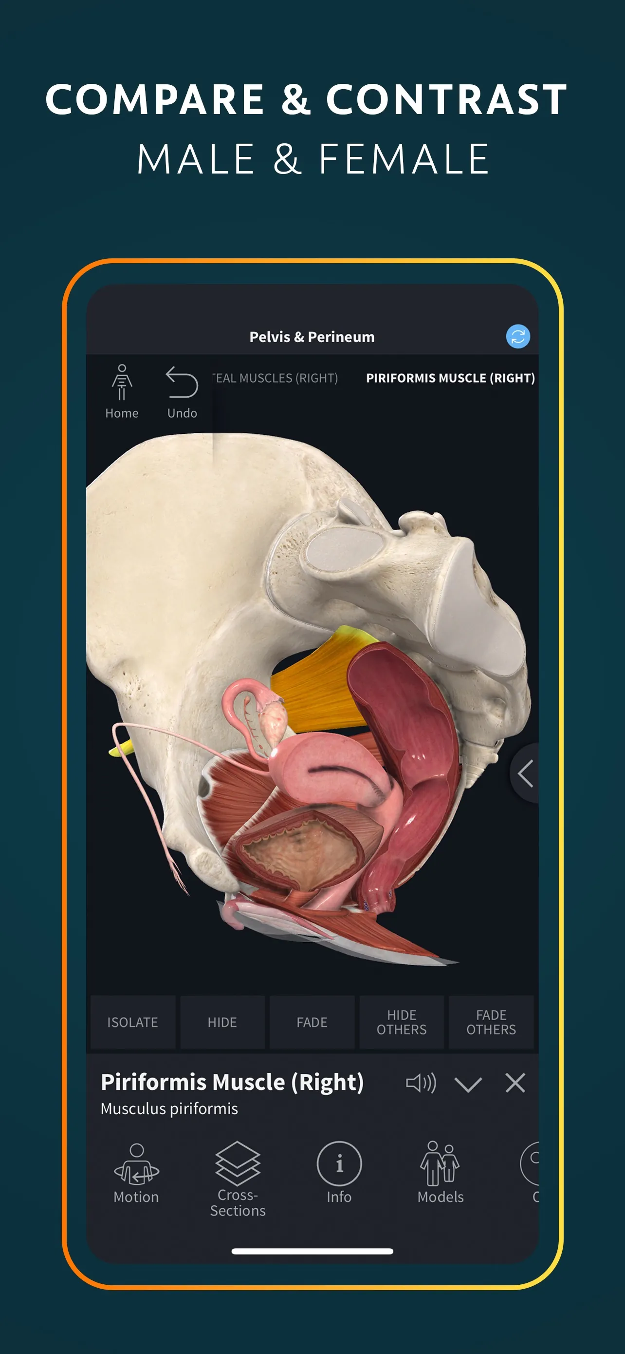 Complete Anatomy for iPhone iphone screenshot 5