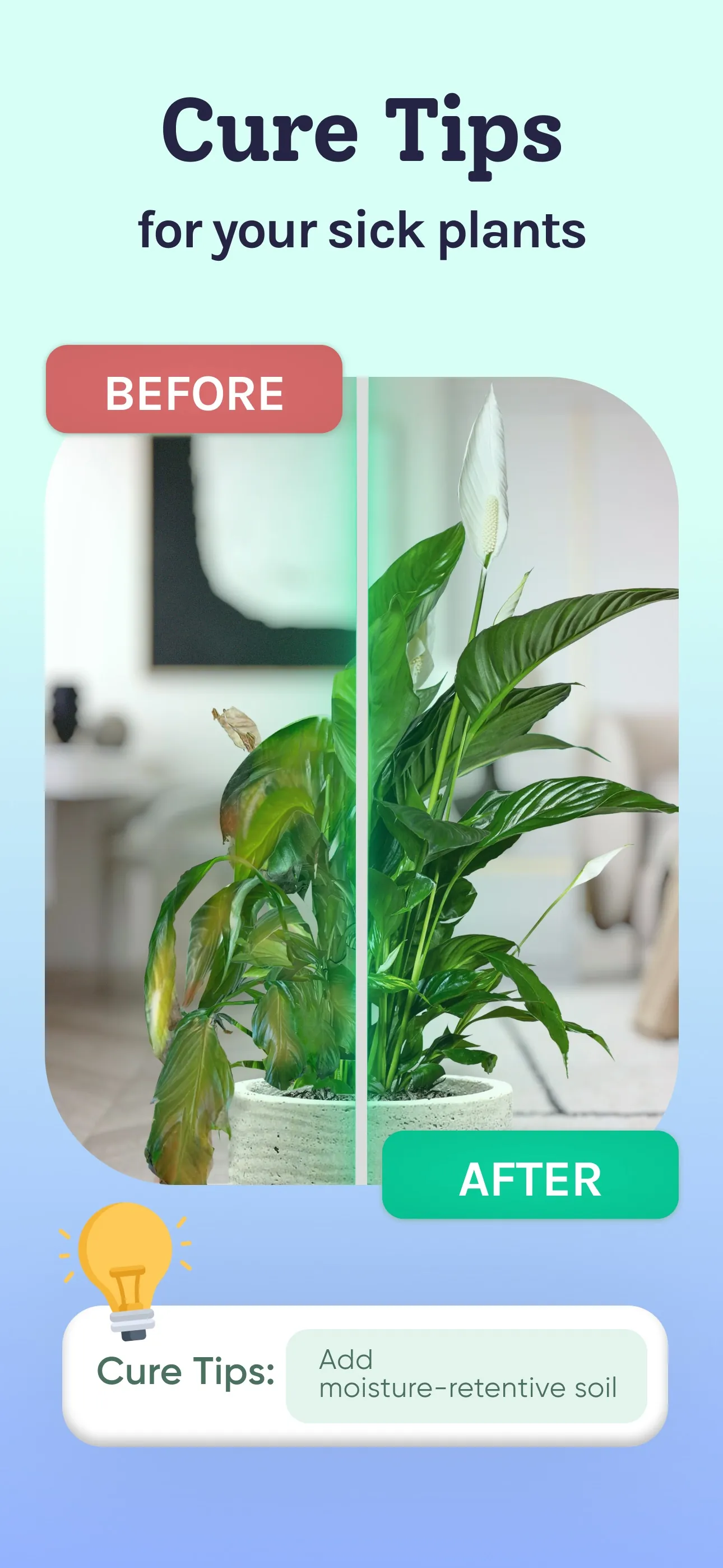 Plant Identifier, Care: Planty iphone screenshot 5