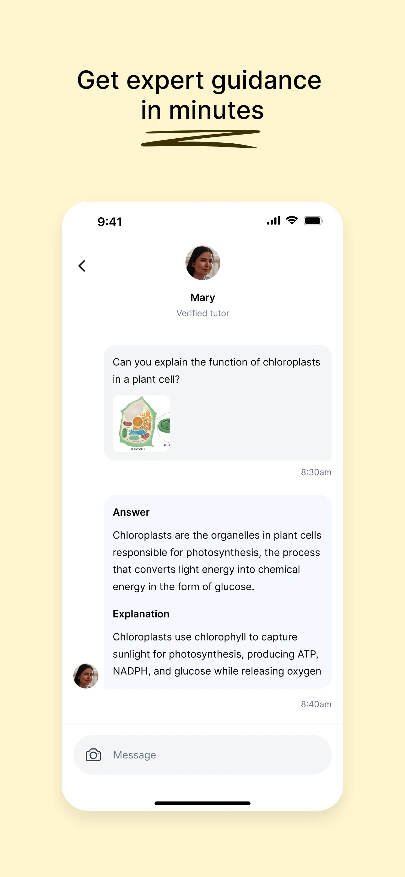 Course Hero: AI Homework Help iphone screenshot 7