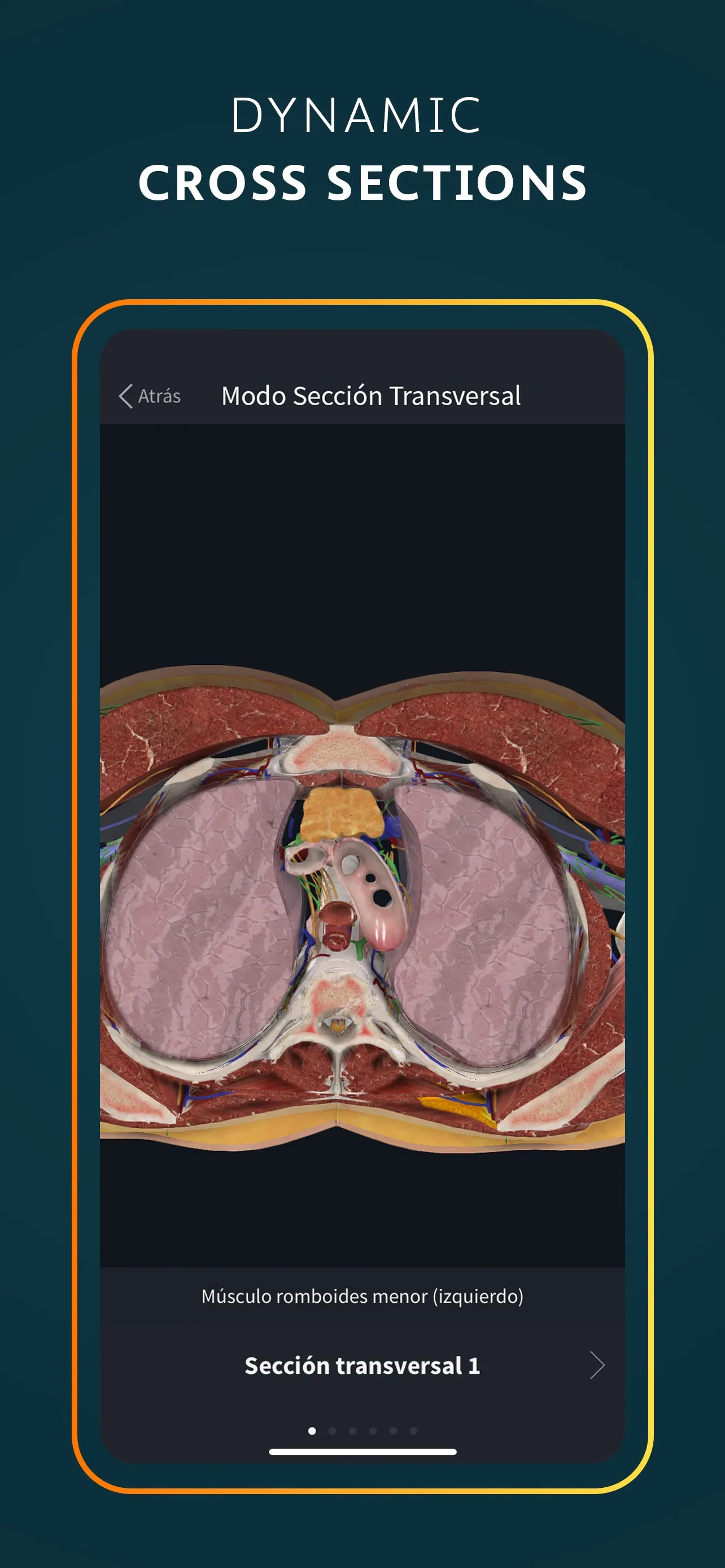 Complete Anatomy for iPhone iphone screenshot 8