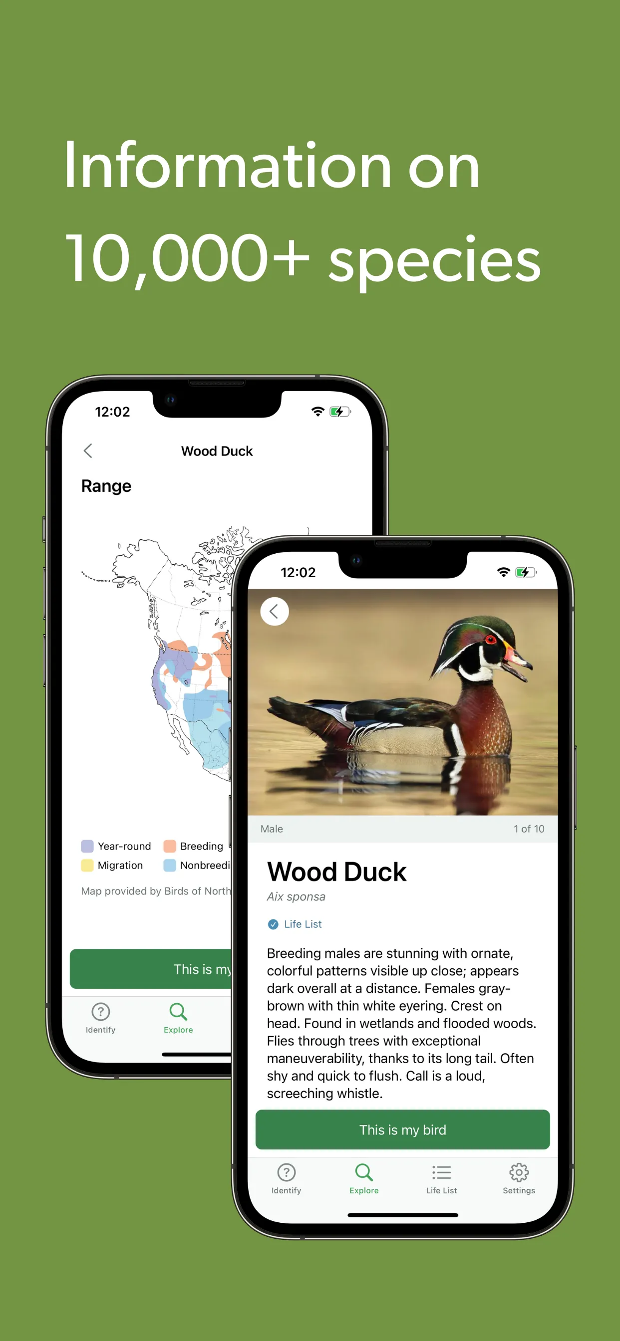 Merlin Bird ID by Cornell Lab iphone screenshot 8