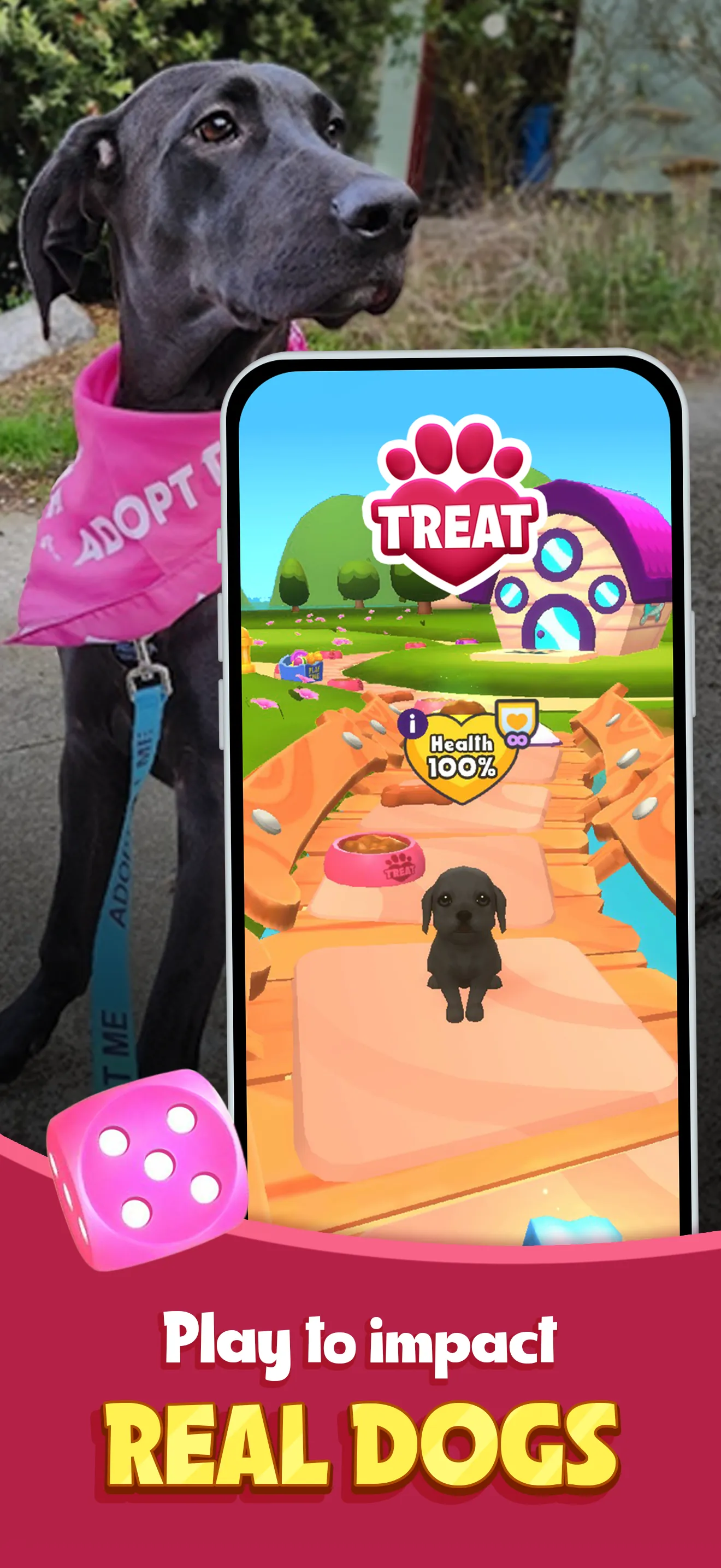 TREAT: Play & impact REAL dogs iphone screenshot 1