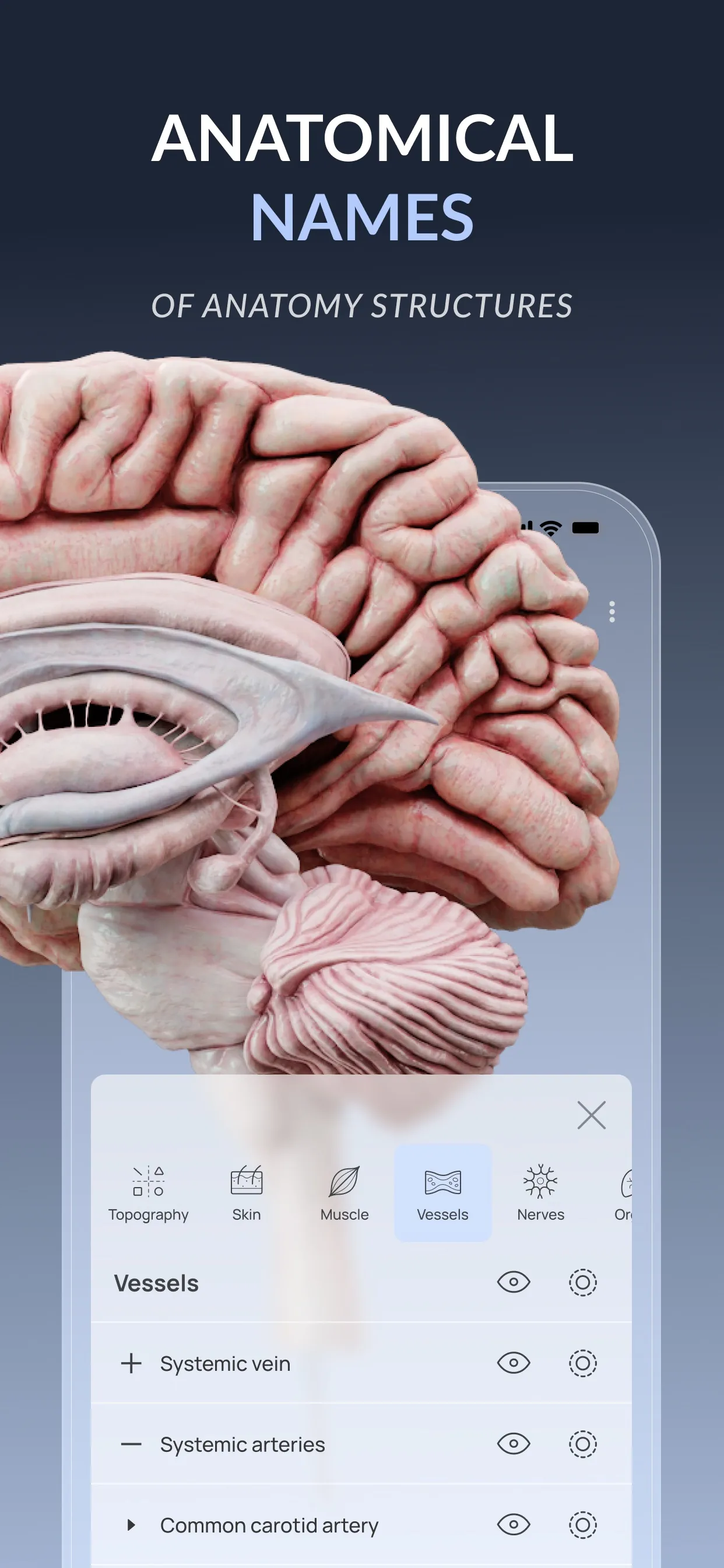 VOKA 3D Anatomy & Pathology iphone screenshot 4