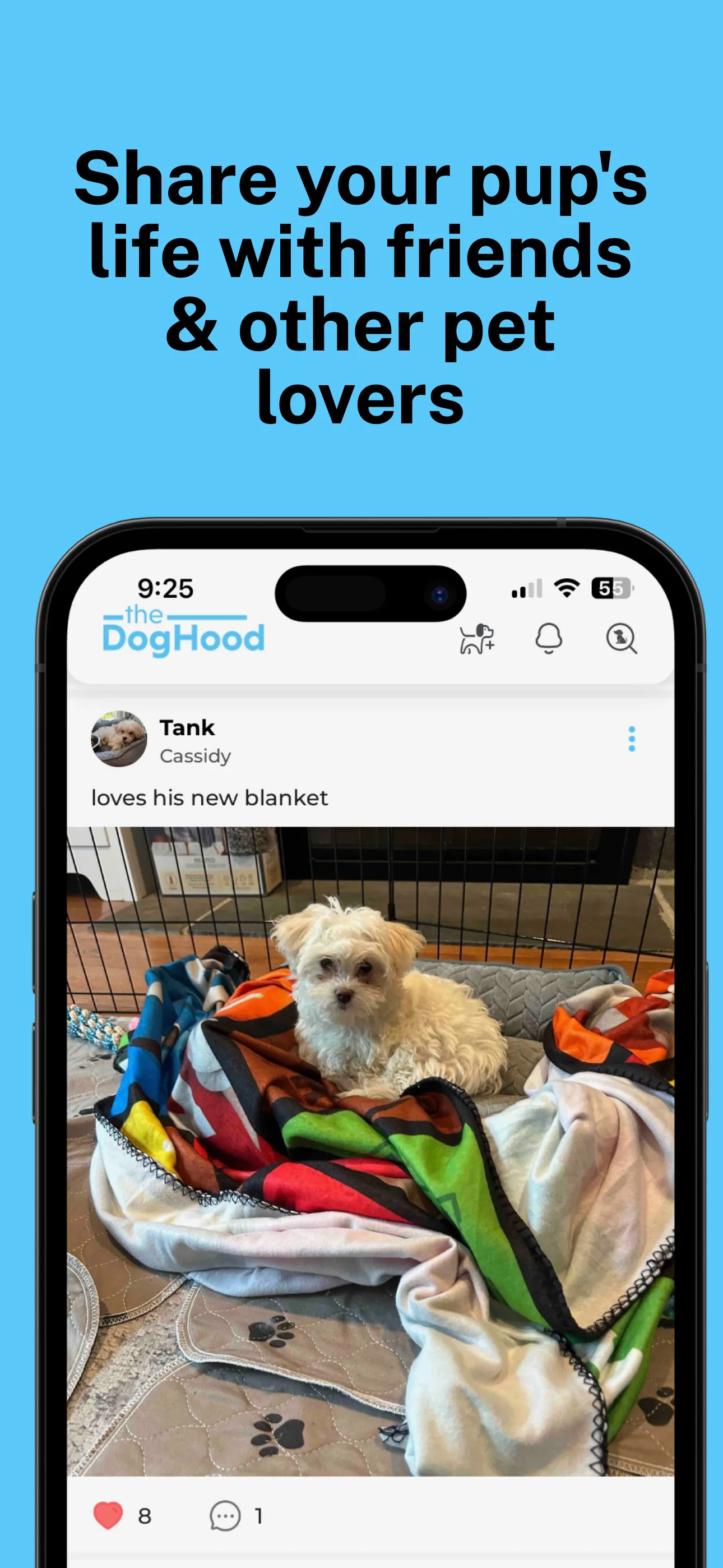 DogHood: Dog Lovers Community iphone screenshot 10
