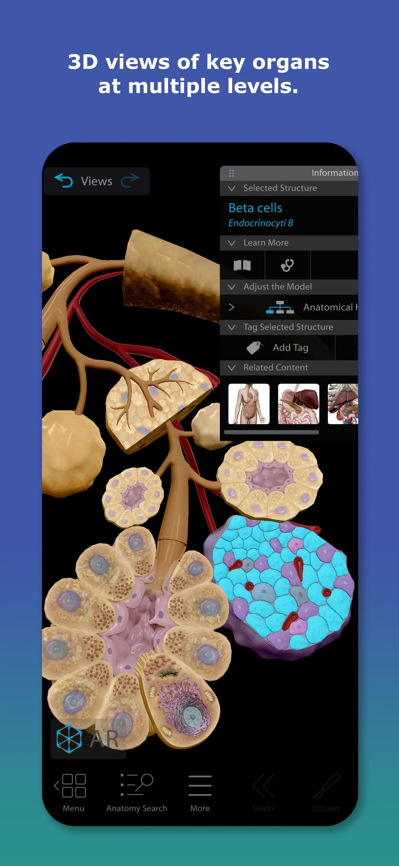 Human Anatomy Atlas 2026 iphone screenshot 3