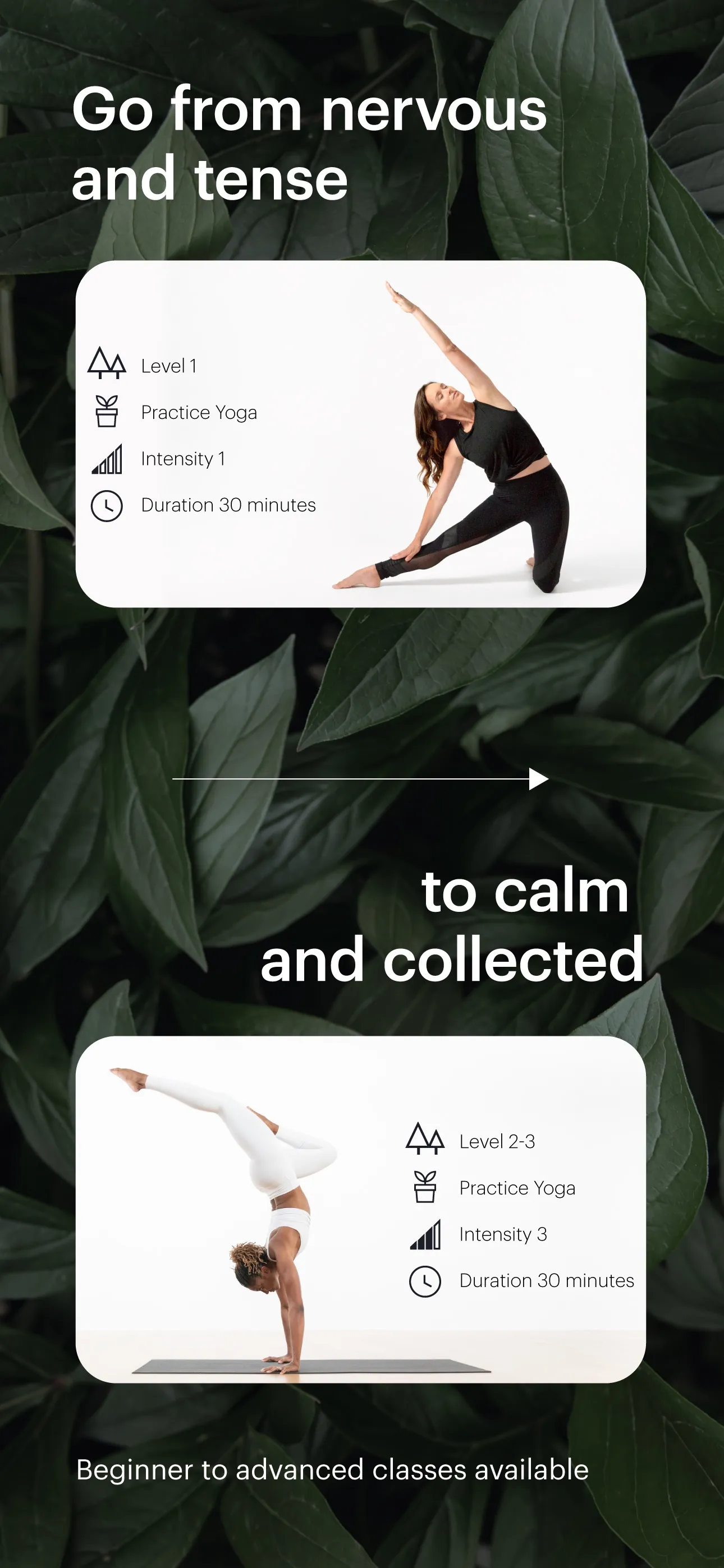 Glo | Yoga and Meditation App iphone screenshot 4