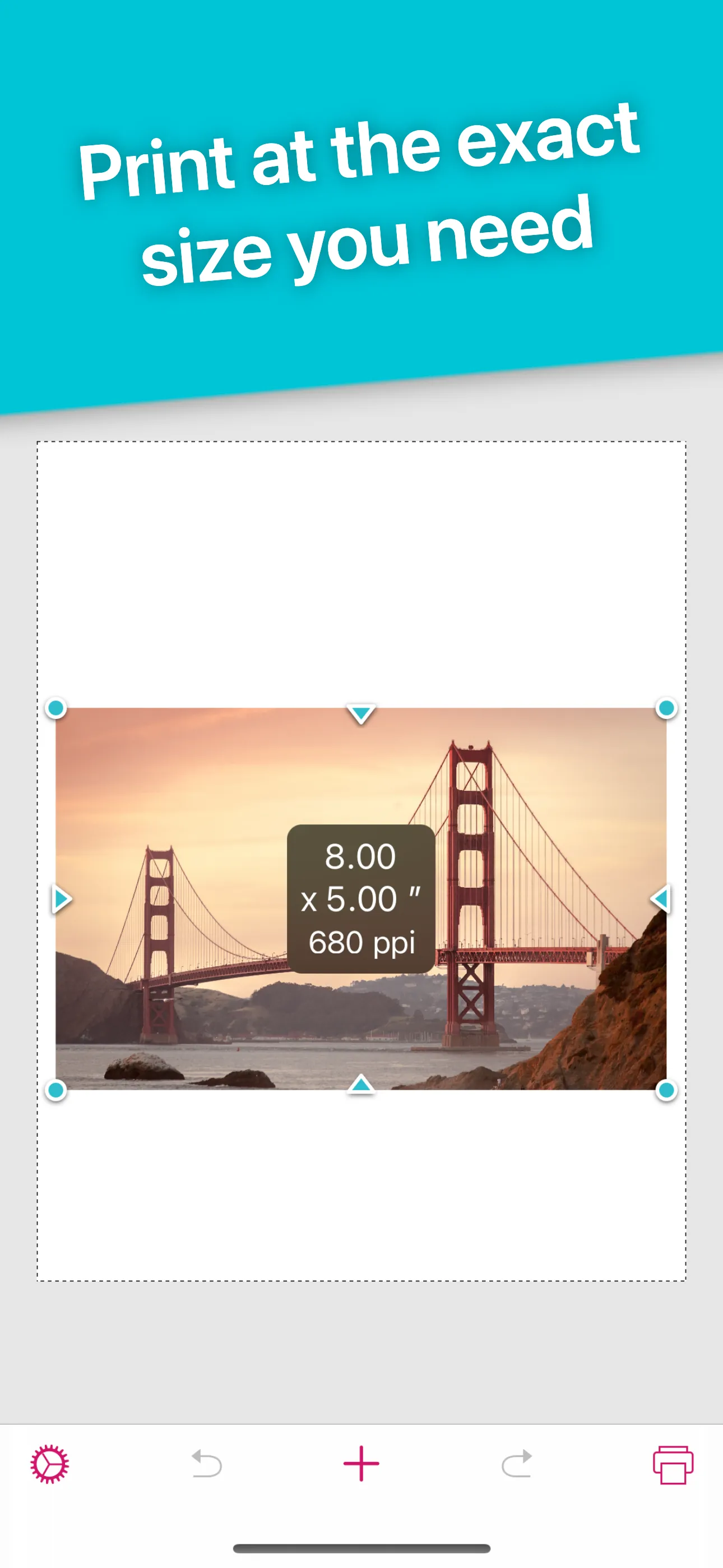 Print to Size iphone screenshot 2