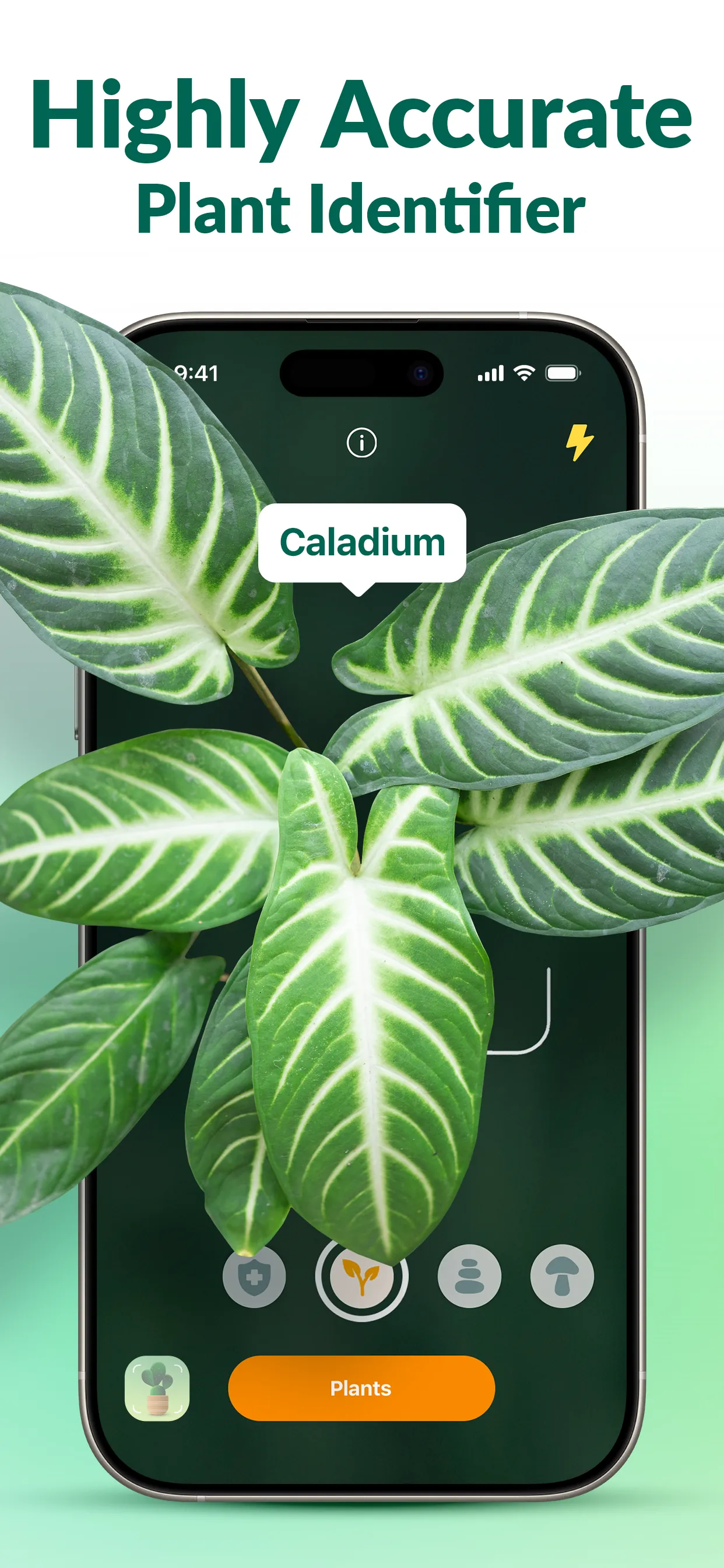 Plantum - AI Plant Identifier iphone screenshot 1