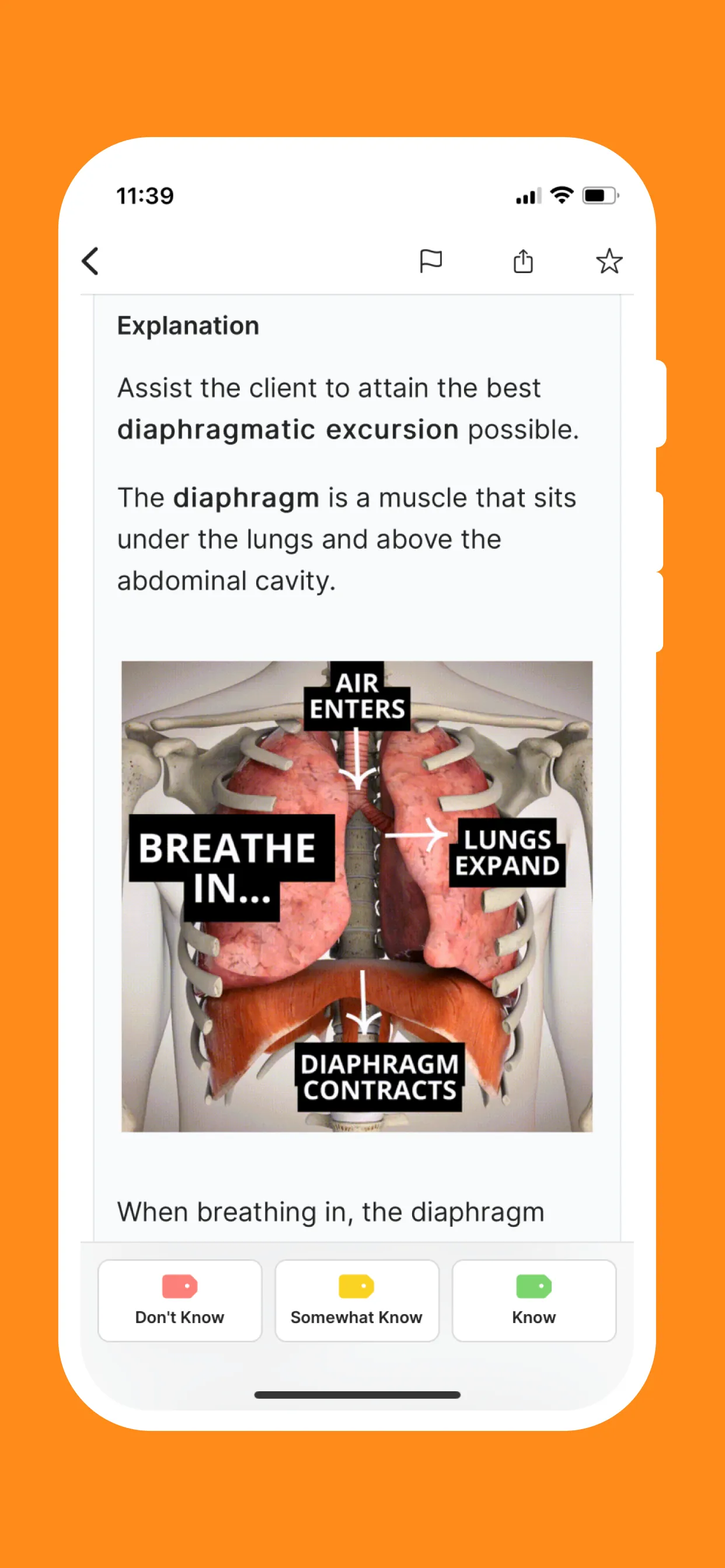 NCLEX PN Mastery Prep - 2025 iphone screenshot 9
