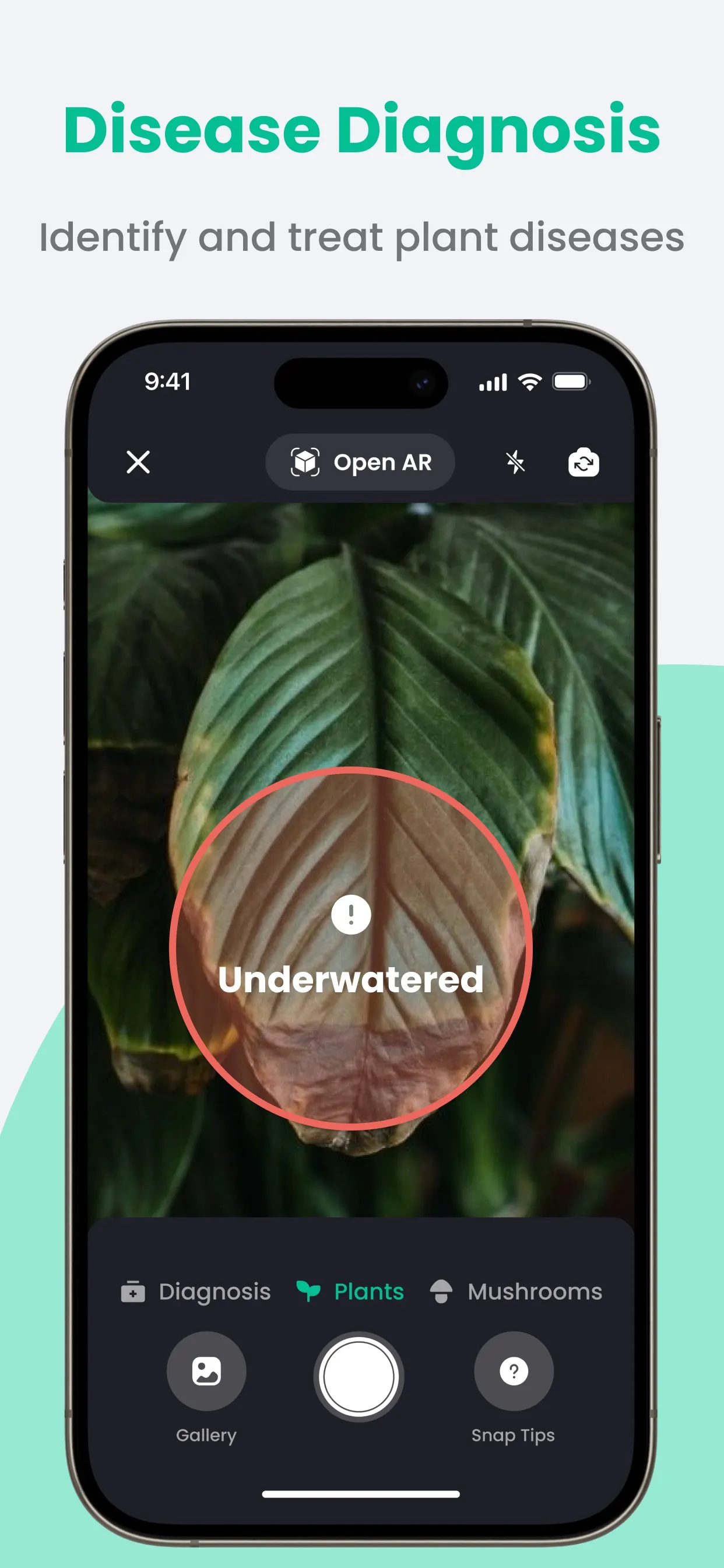 PlantIn: Plant Identifier・Care iphone screenshot 2