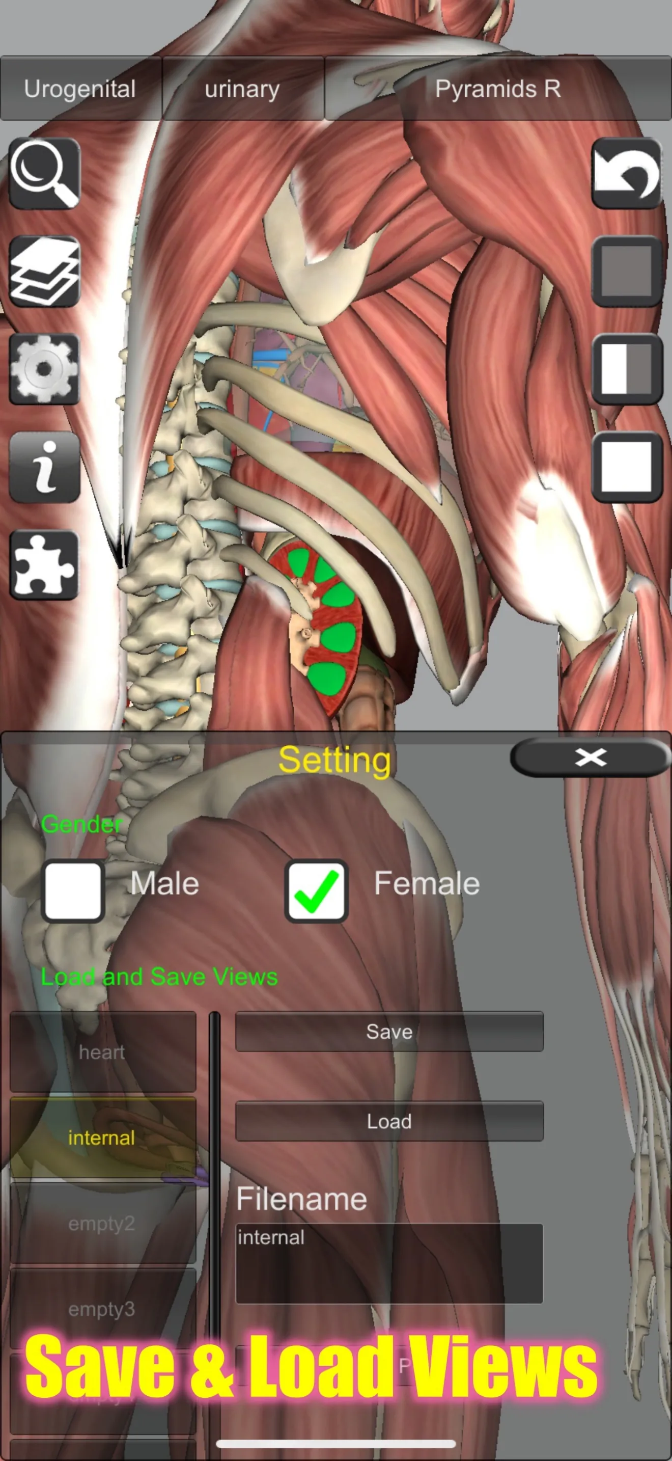 3D Bones and Muscles (Anatomy) iphone screenshot 6