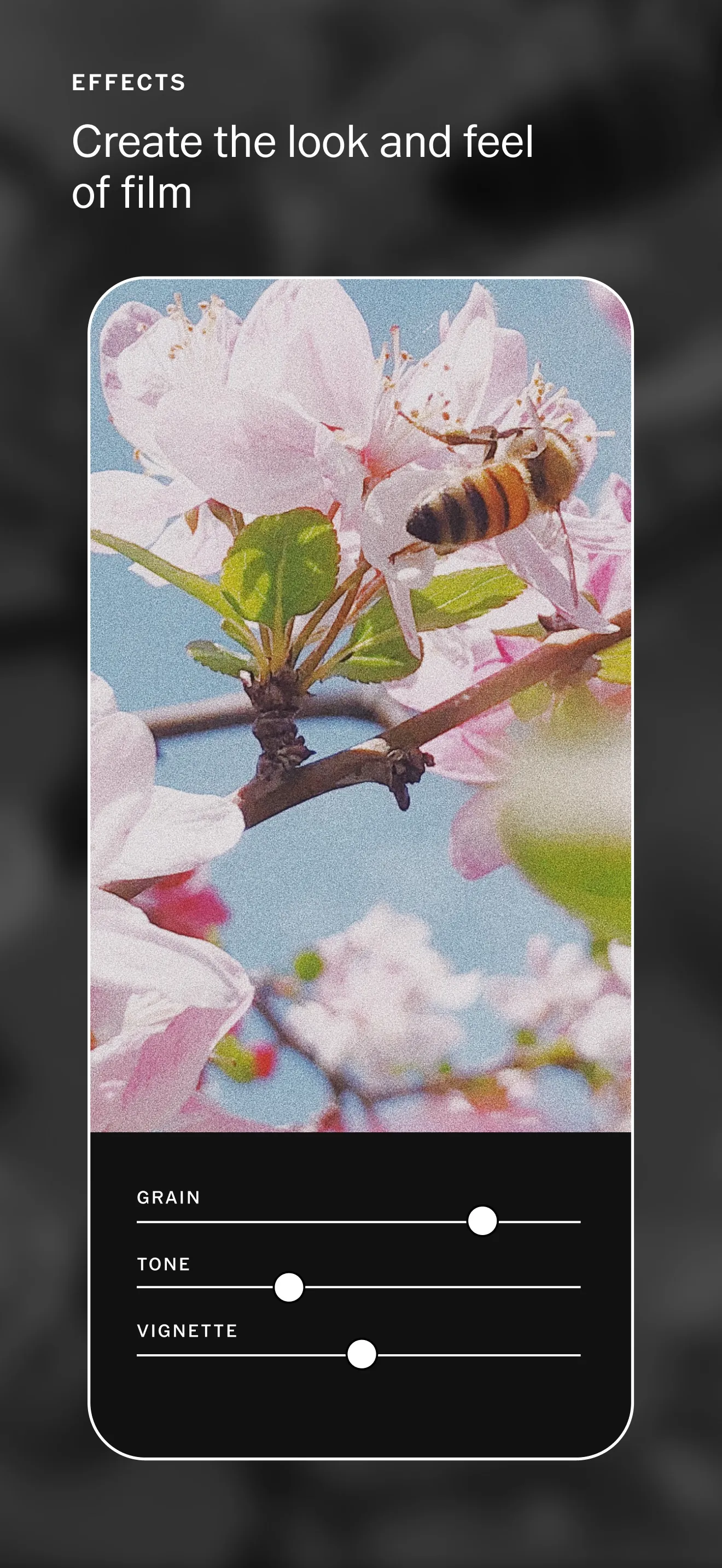 VSCO: Photo Editor iphone screenshot 5