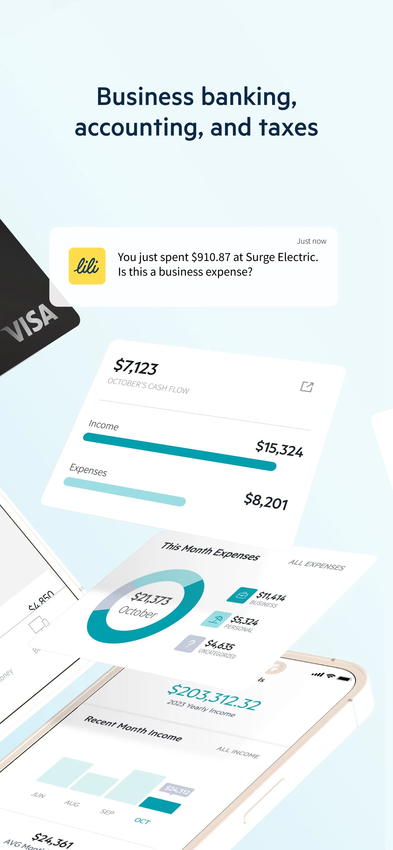 Lili - Small Business Finances iphone screenshot 2