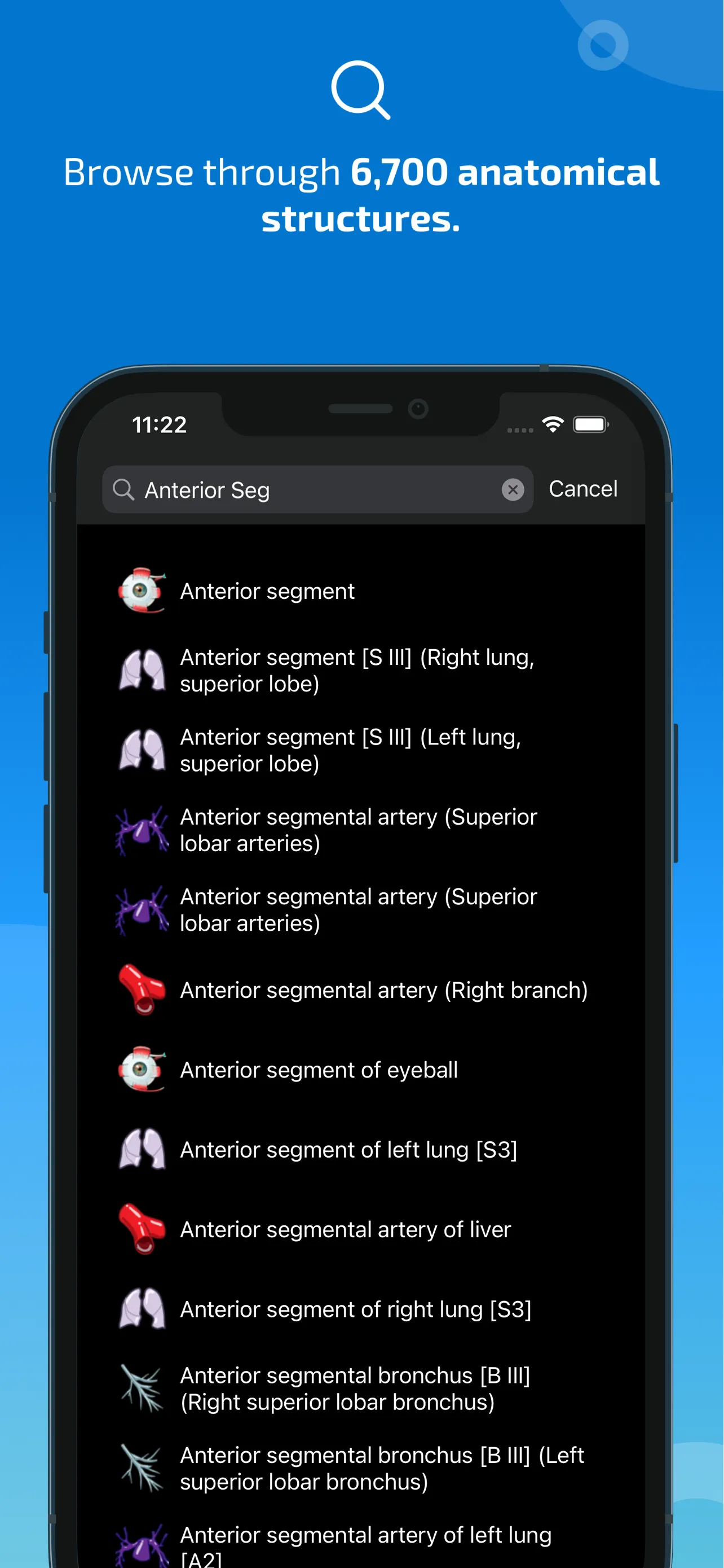IMAIOS e-Anatomy iphone screenshot 3