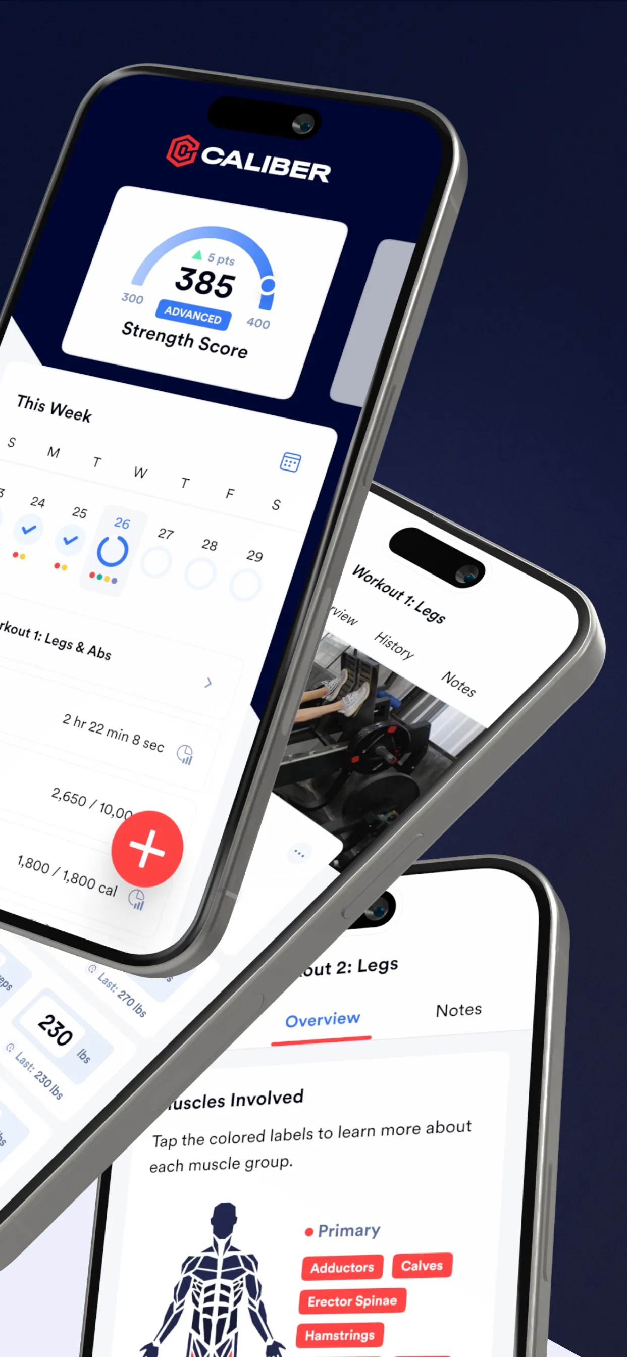 Caliber: Strength Training iphone screenshot 2