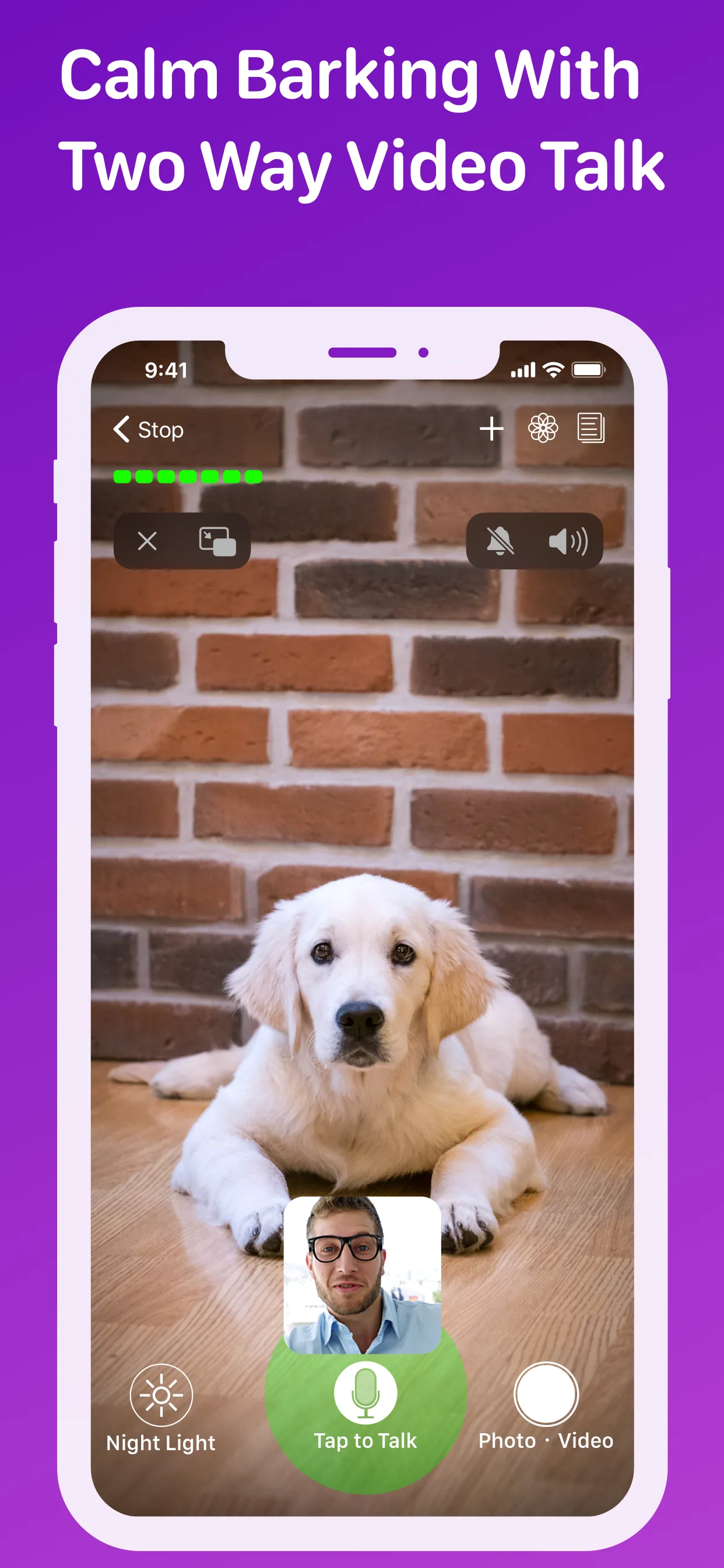 Pet Monitor VIGI iphone screenshot 3