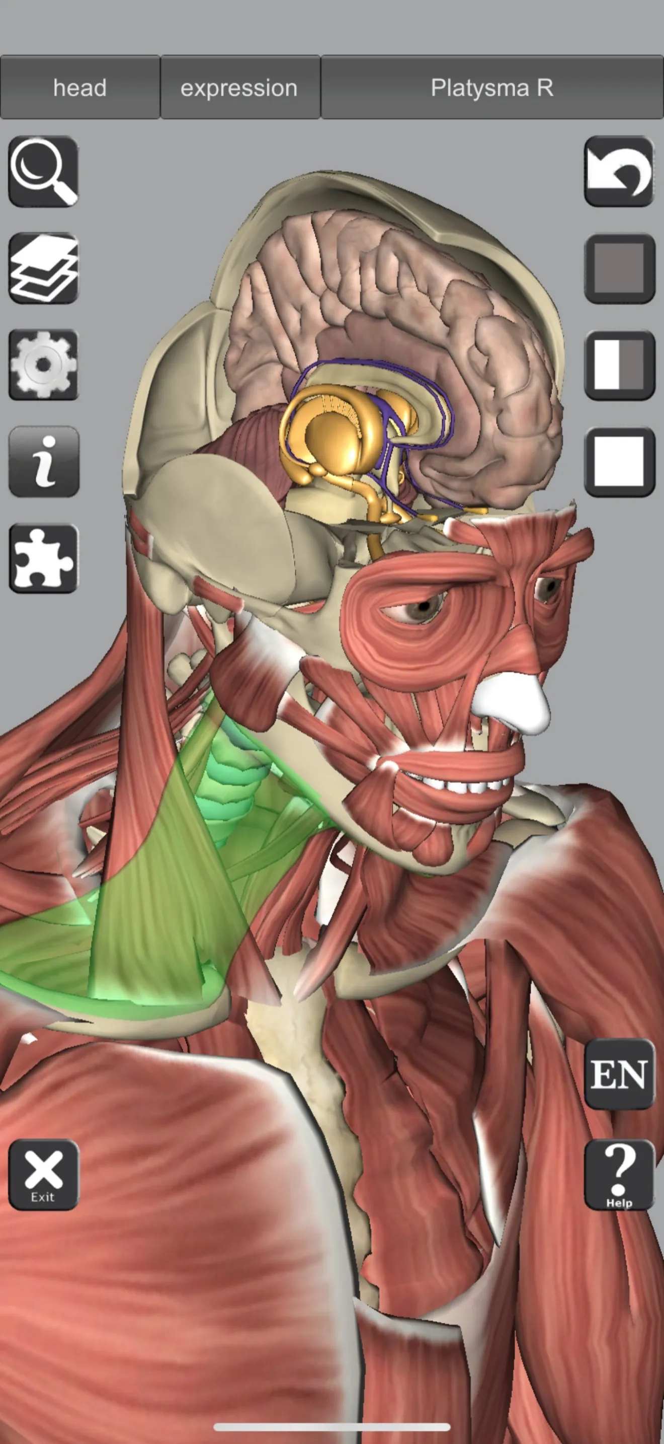 3D Bones and Muscles (Anatomy) iphone screenshot 5