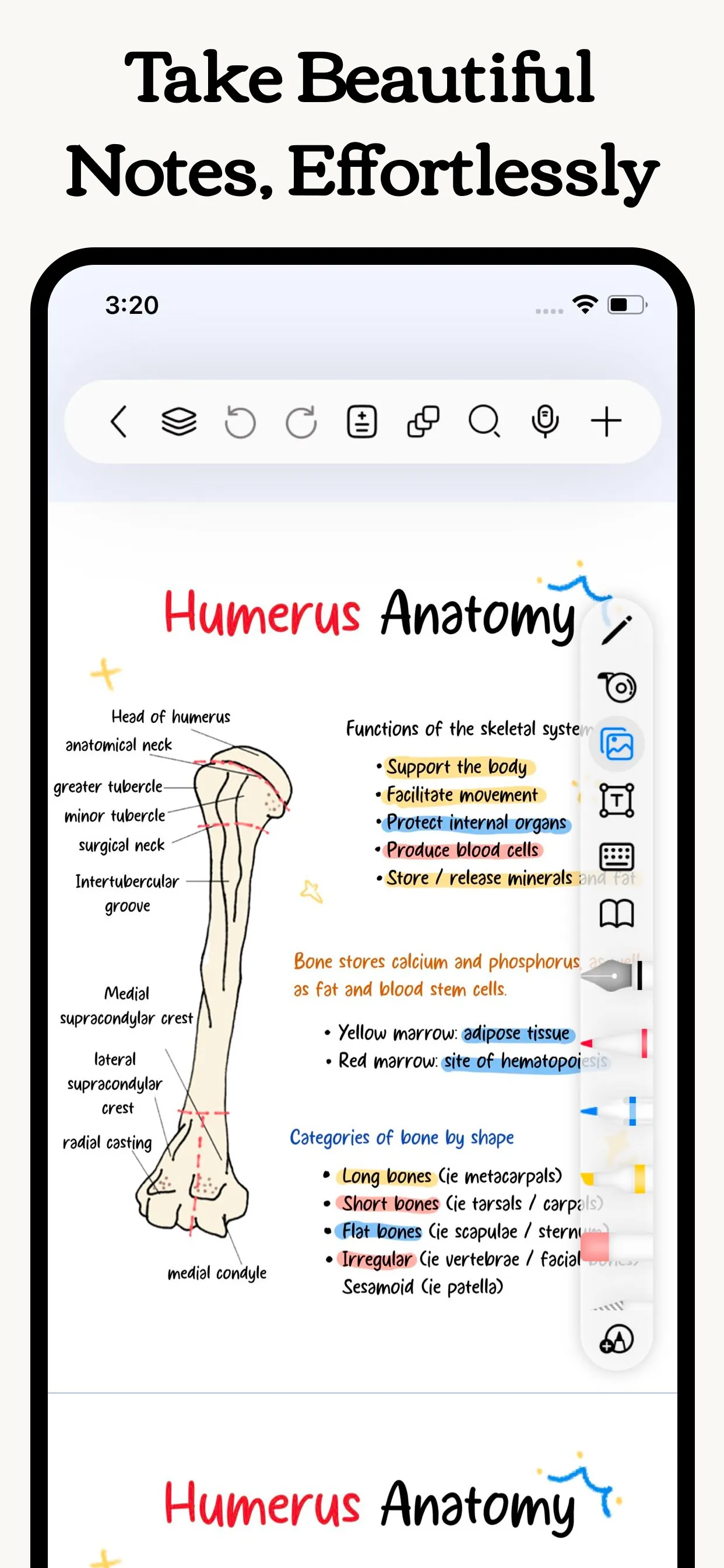 Freenotes - Notes Taking & PDF iphone screenshot 1