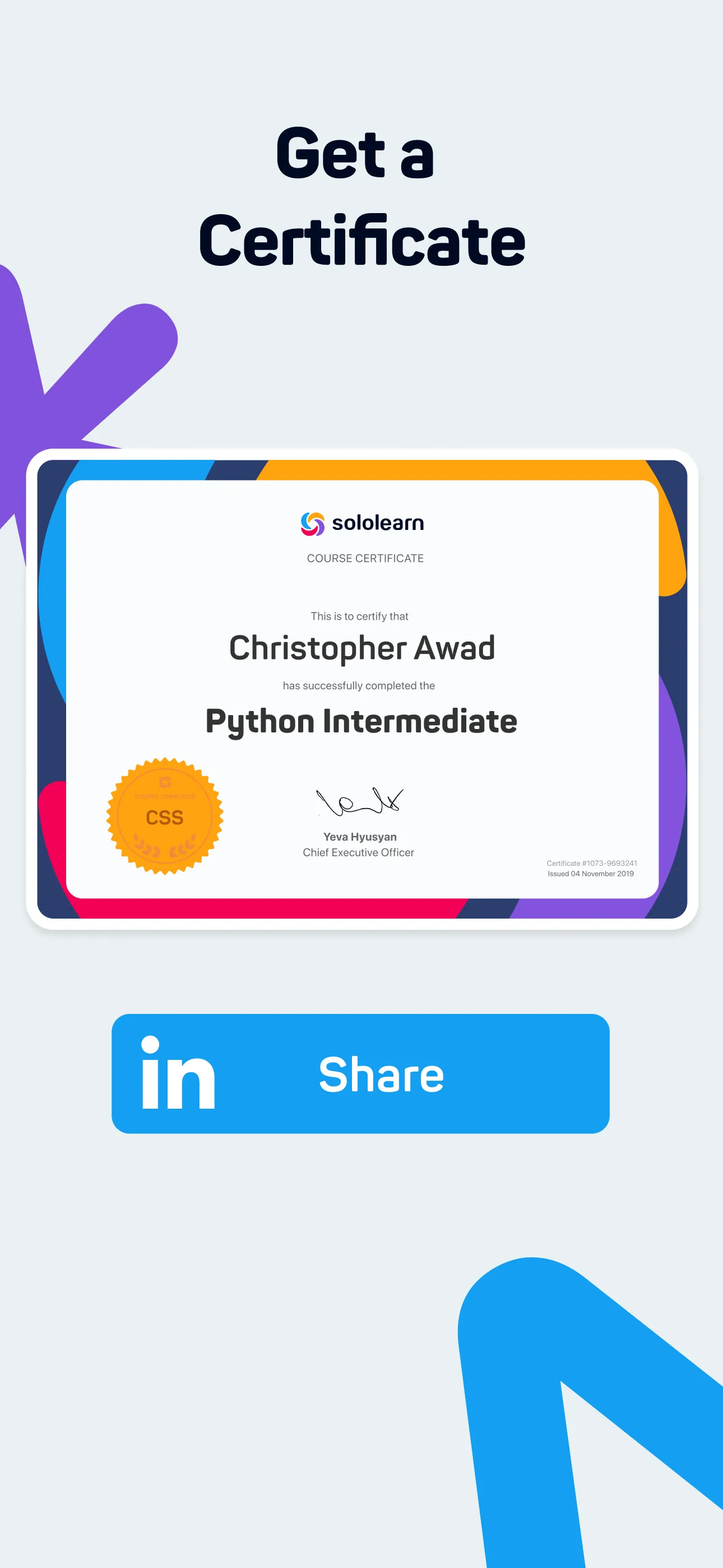 Sololearn: Learn to Code iphone screenshot 6