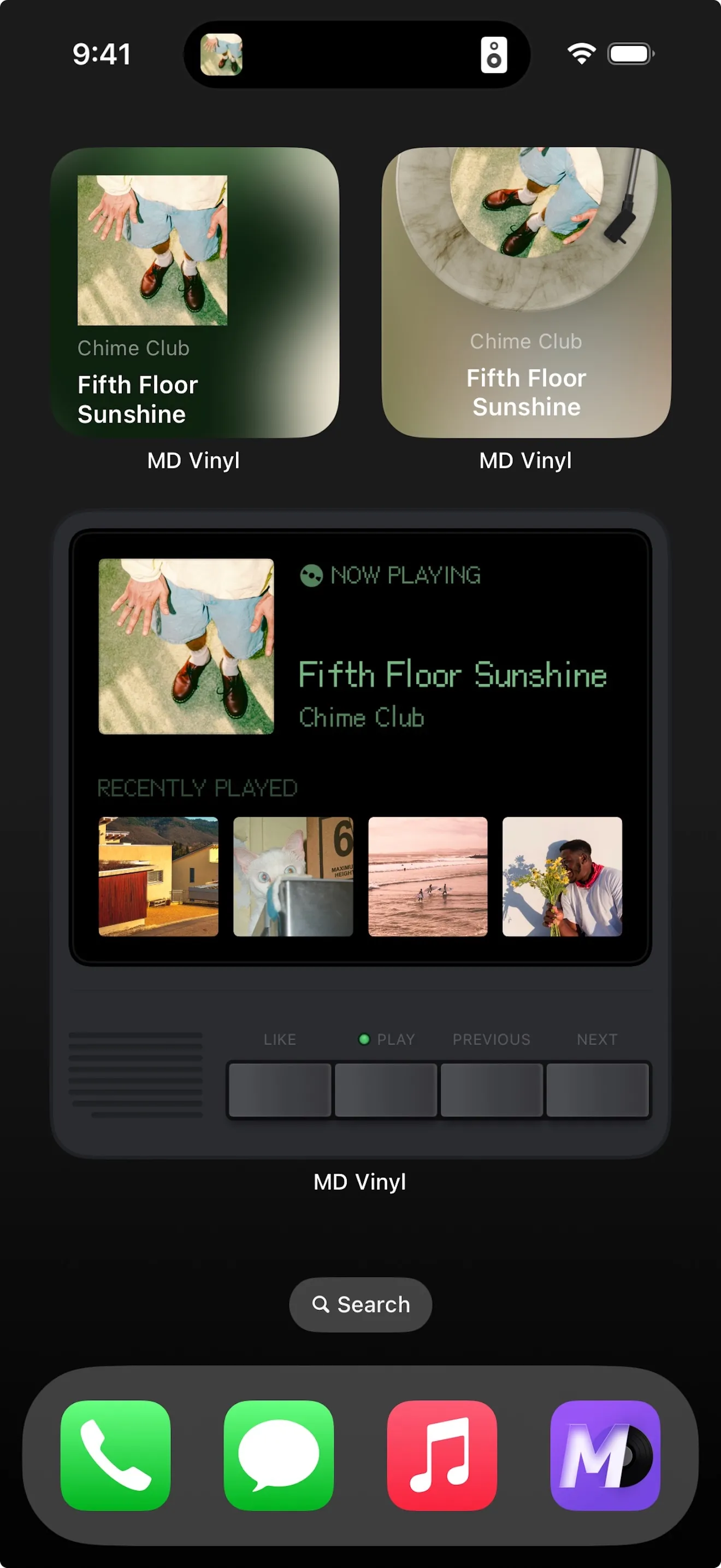 MD Vinyl for Music App iphone screenshot 11