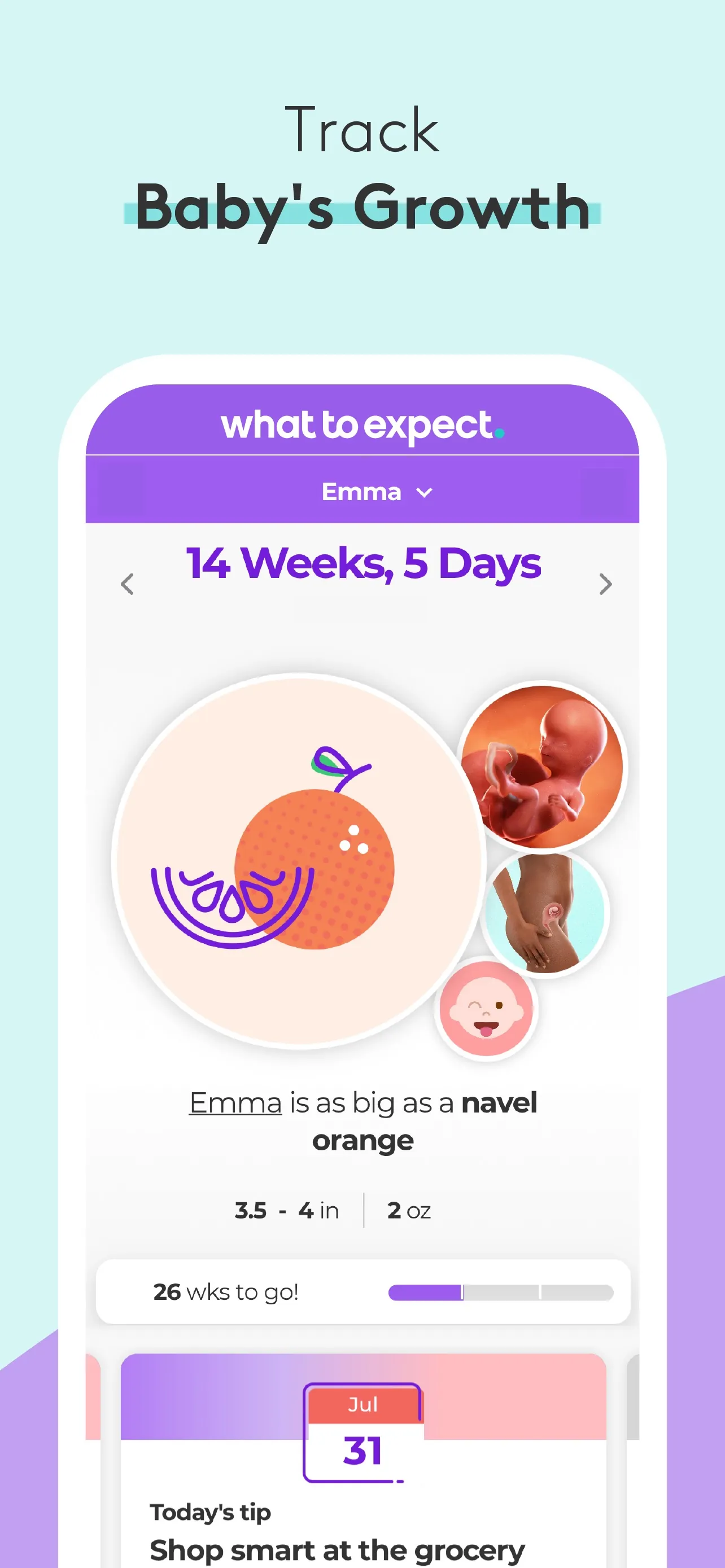 Pregnancy & Baby Tracker - WTE iphone screenshot 2