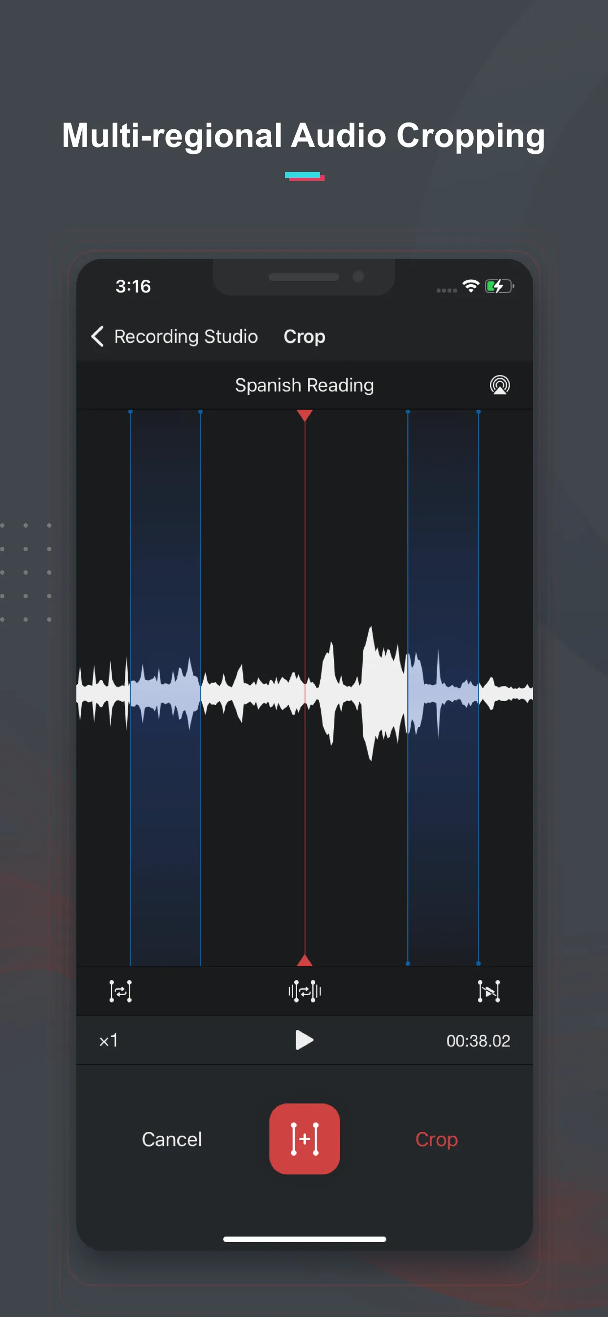 Voice Recorder & Notes Pro iphone screenshot 5