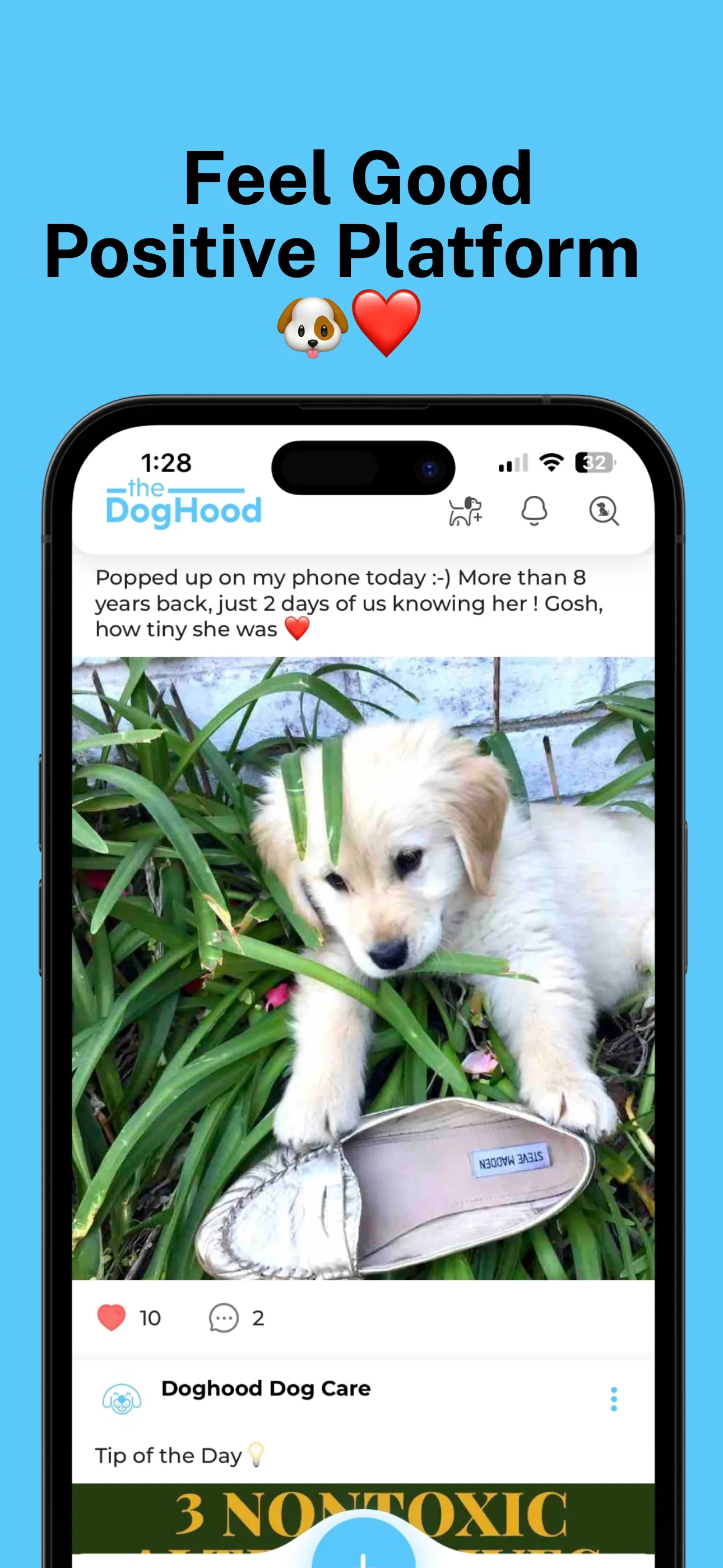 DogHood: Dog Lovers Community iphone screenshot 4