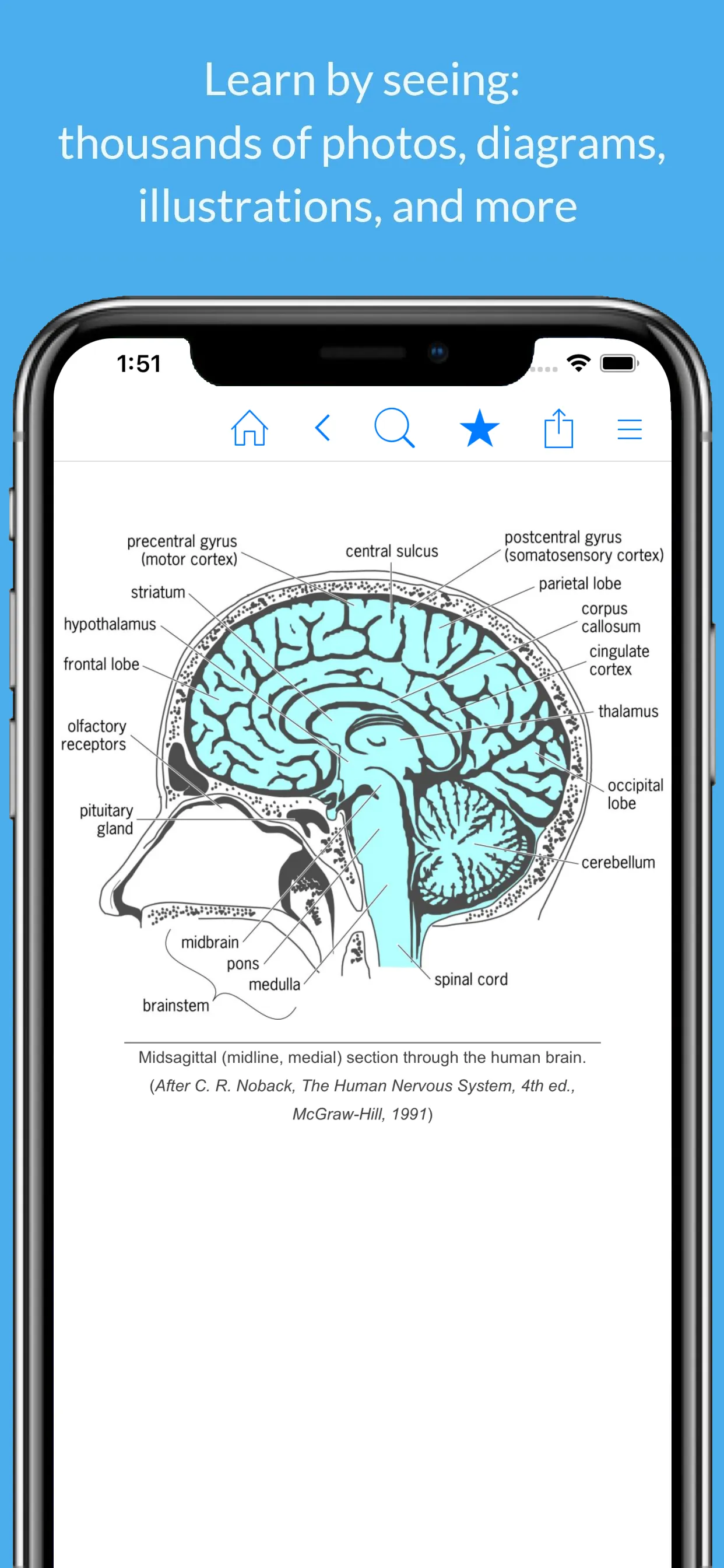 Science Dictionary by Farlex iphone screenshot 2